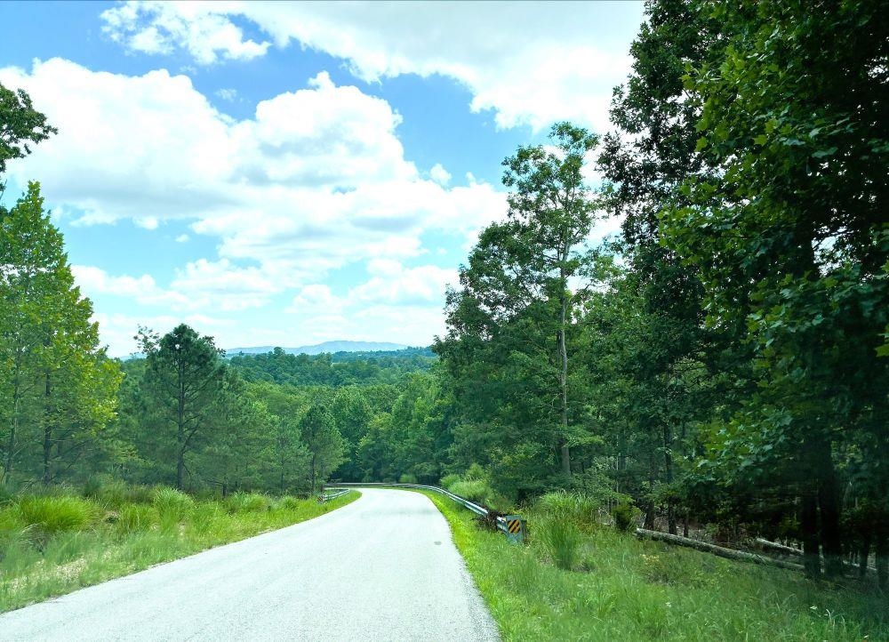 3825 Buck Mtn Ridge Blacksburg VA 24060