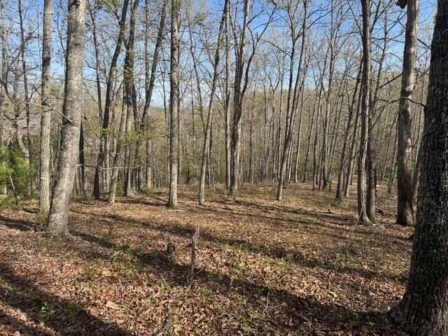 3825 Buck Mtn Ridge Blacksburg VA 24060