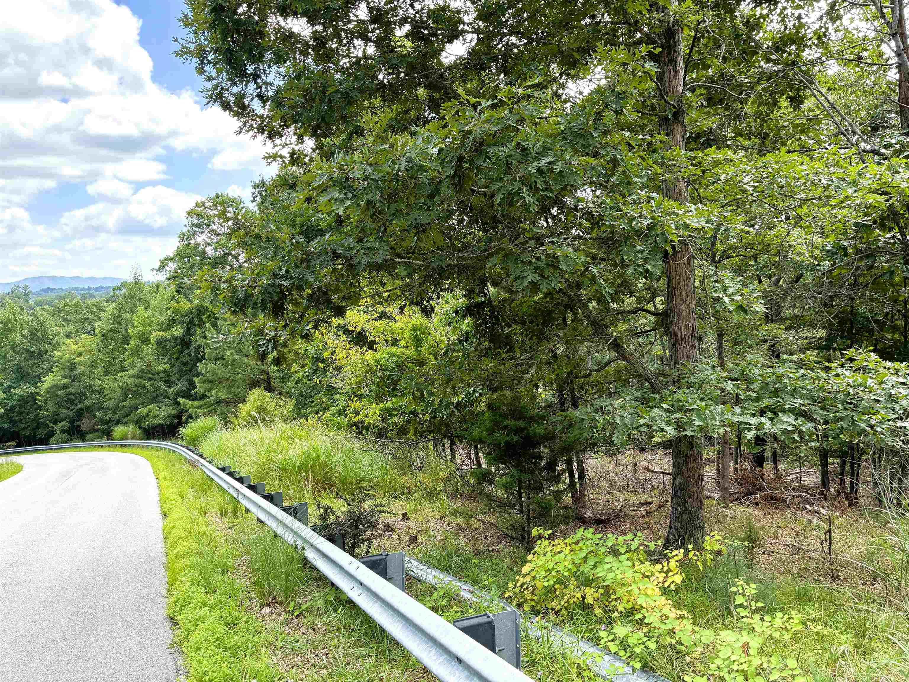 3825 Buck Mtn Ridge Blacksburg VA 24060