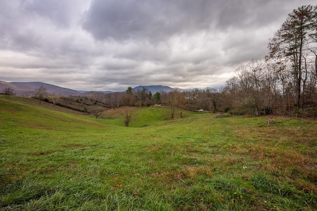 Lot 1 Curve Road Pearisburg VA 24134