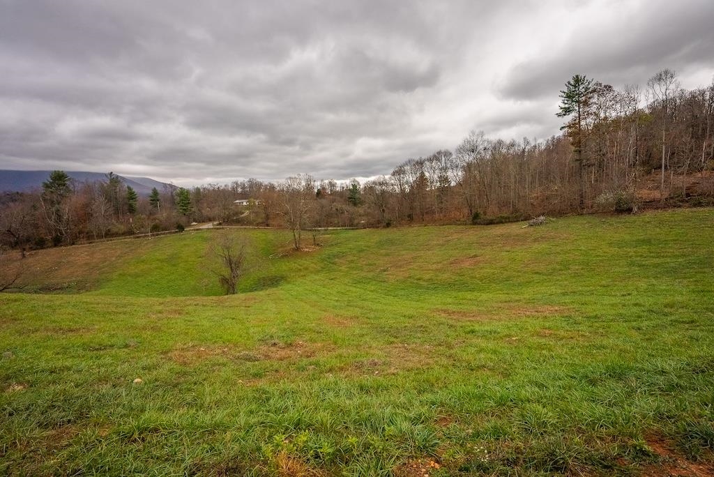 Lot 1 Curve Road Pearisburg VA 24134