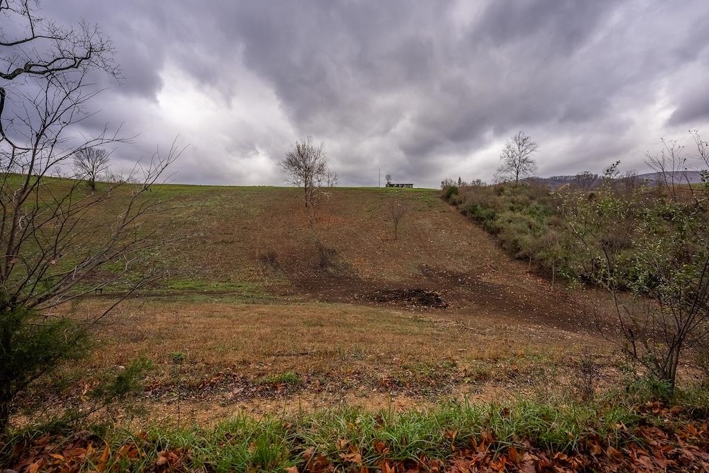 Lot 1 Curve Road Pearisburg VA 24134