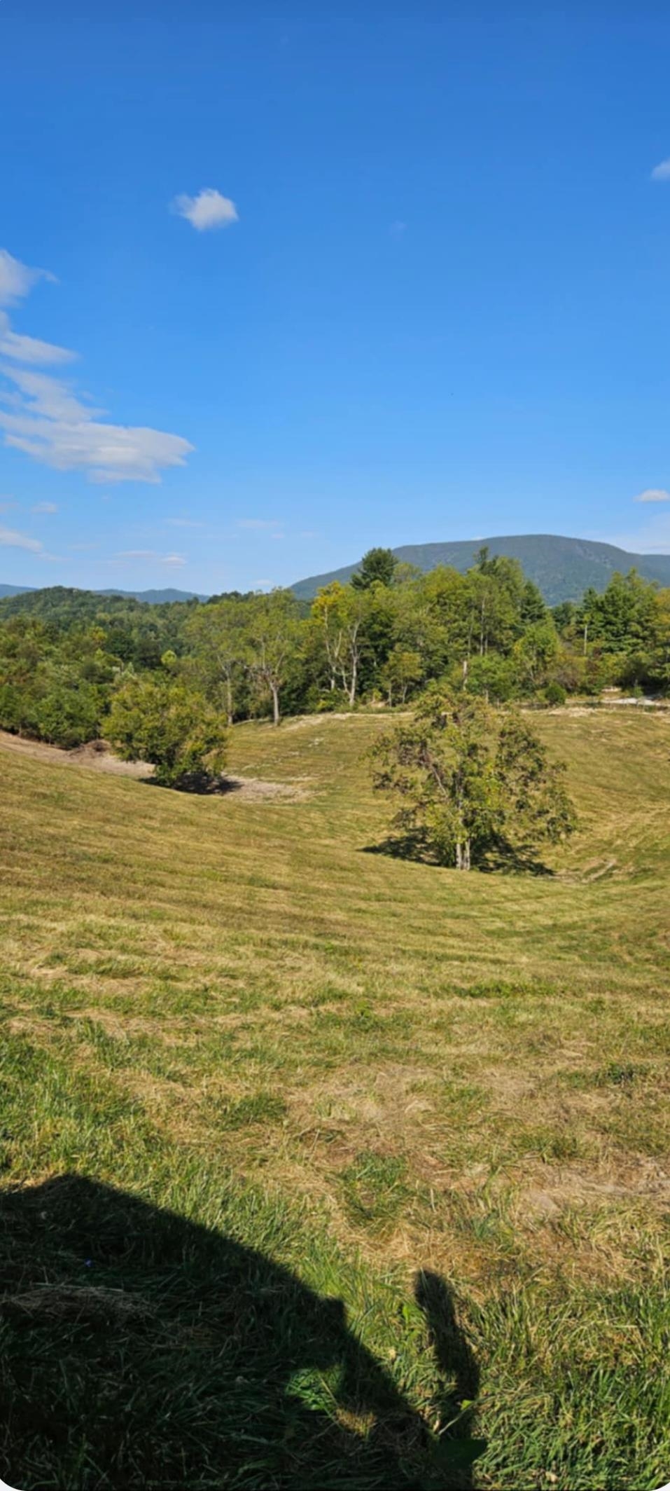 Lot 1 Curve Road Pearisburg VA 24134