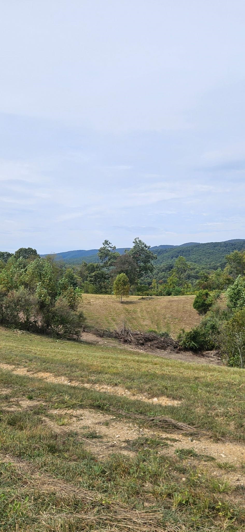 Lot 1 Curve Road Pearisburg VA 24134