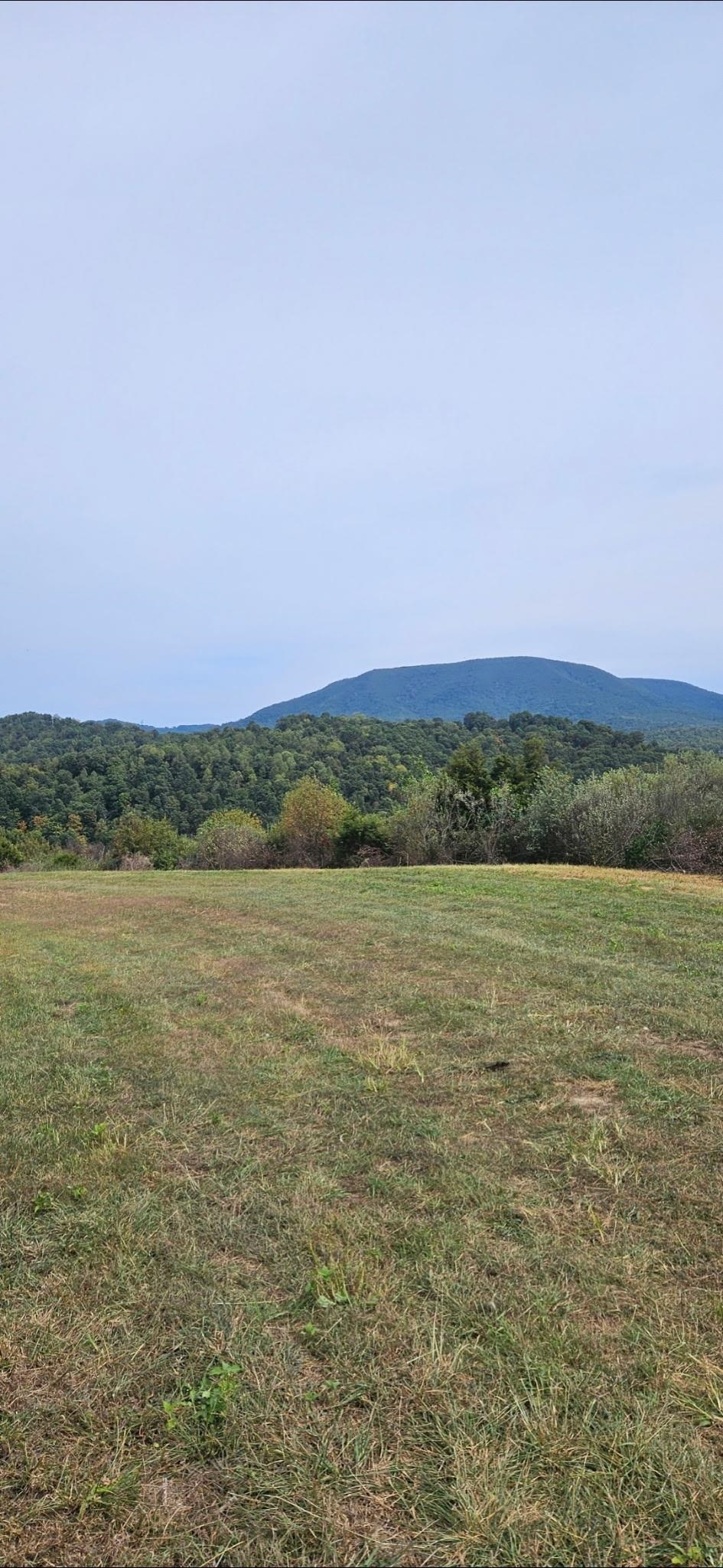 Lot 1 Curve Road Pearisburg VA 24134