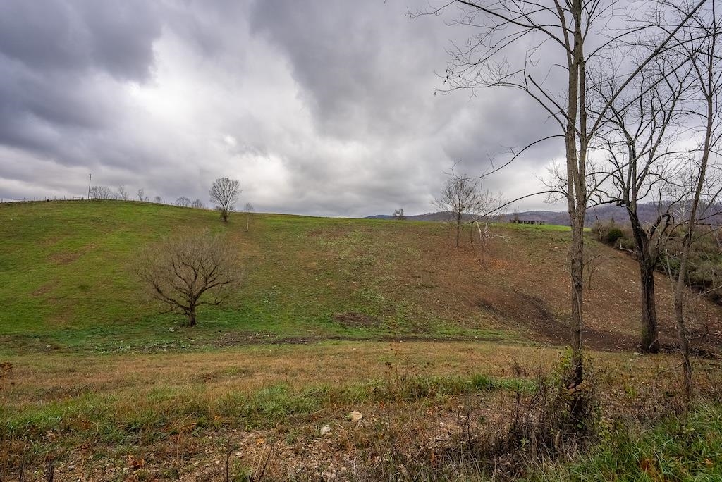 Lot 1 Curve Road Pearisburg VA 24134