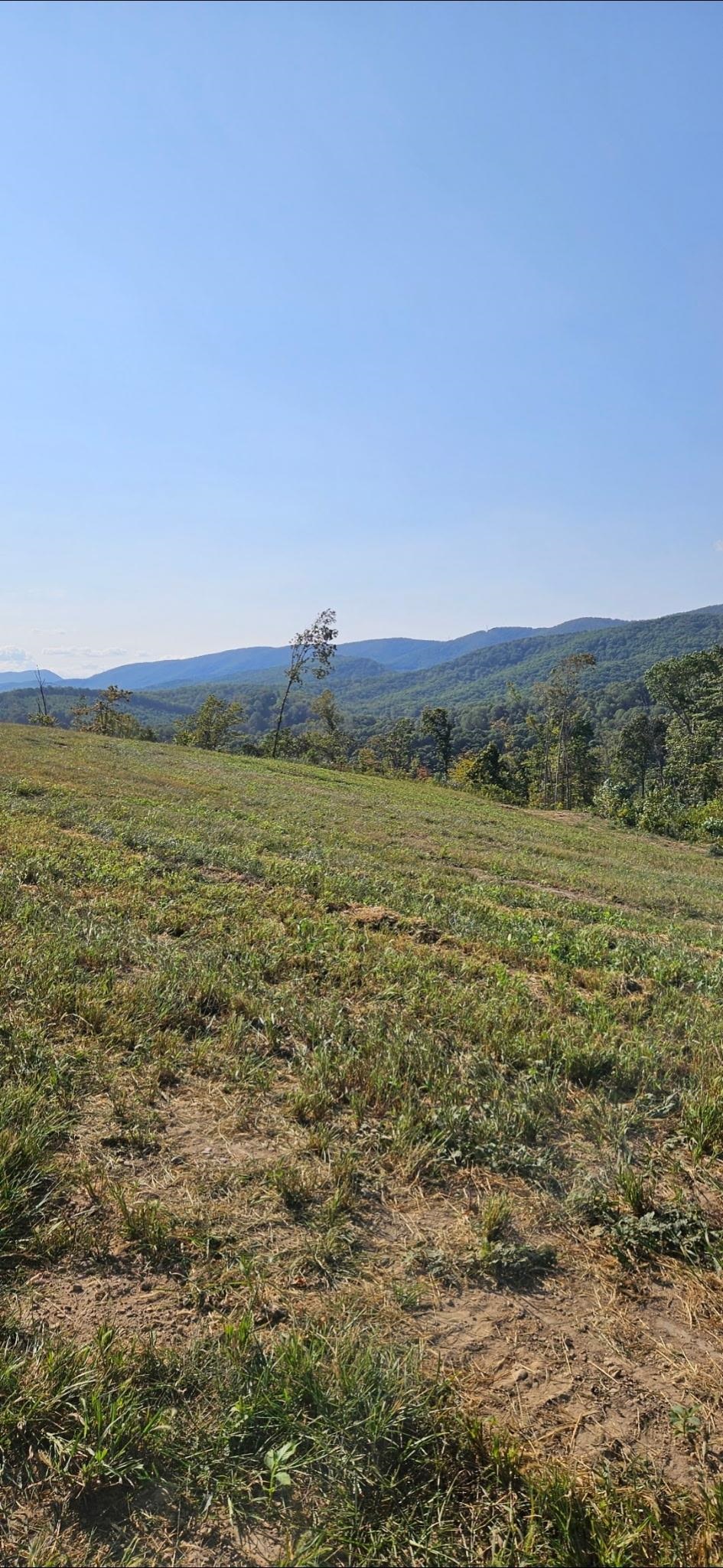 Lot 1 Curve Road Pearisburg VA 24134