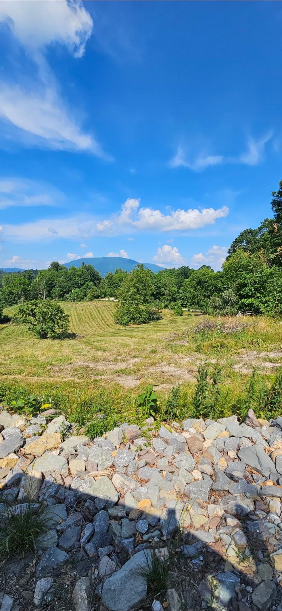 Lot 1 Curve Road Pearisburg VA 24134