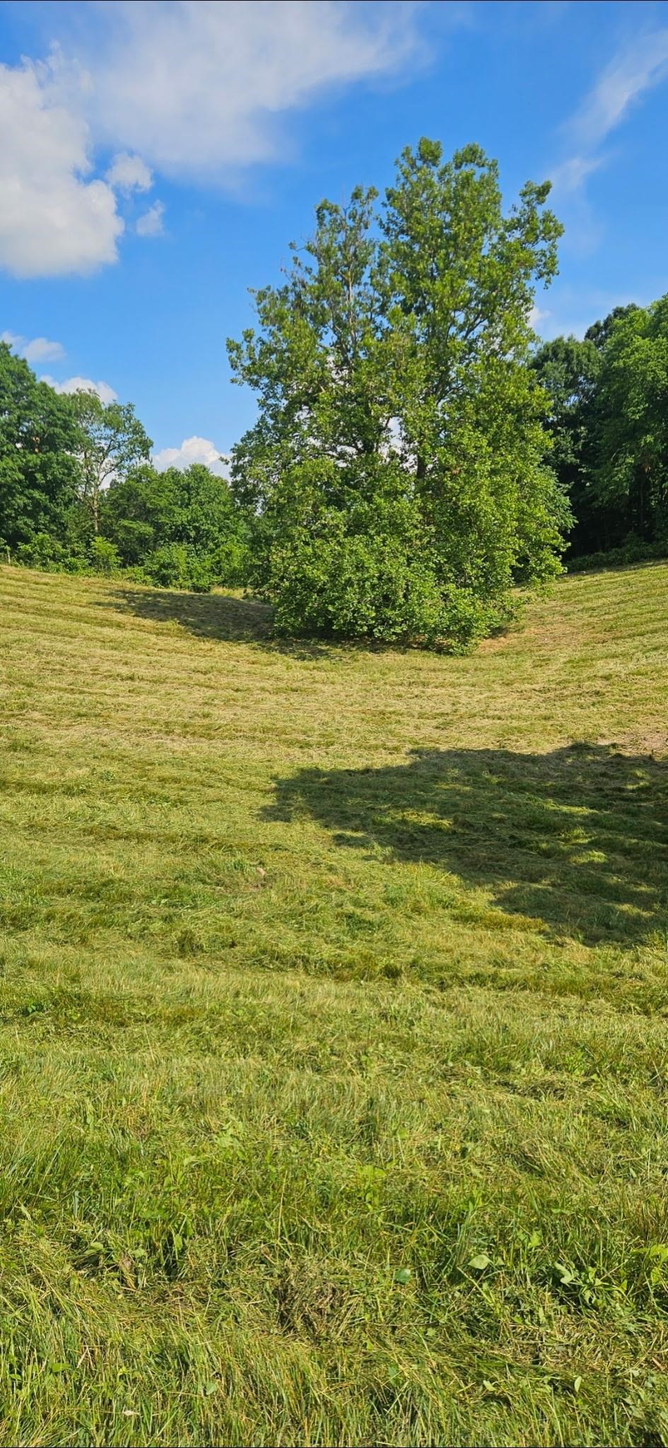 Lot 1 Curve Road Pearisburg VA 24134