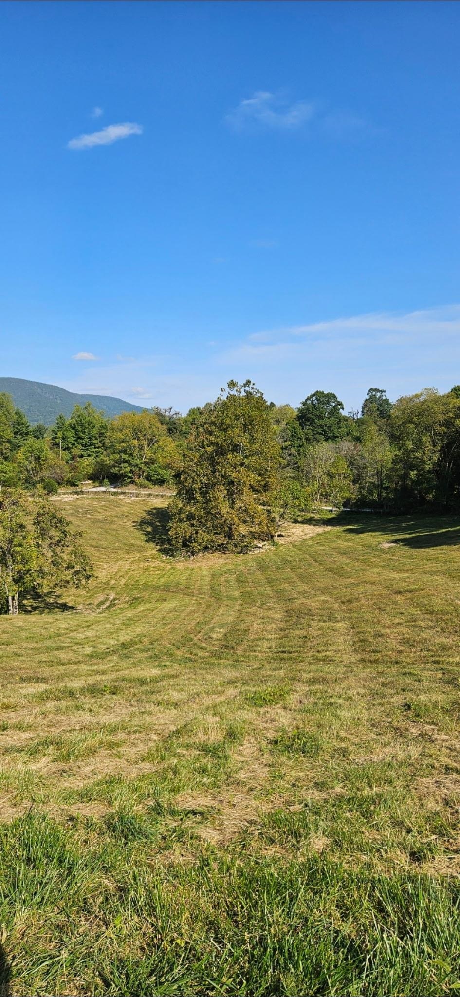 Lot 1 Curve Road Pearisburg VA 24134