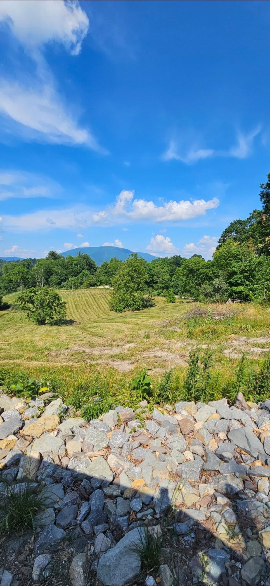 Lot 1 Curve Road Pearisburg VA 24134