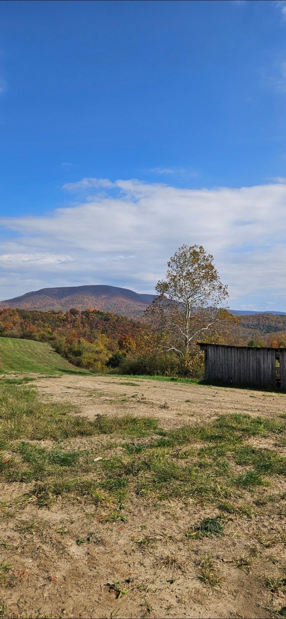 Lot 1 Curve Road Pearisburg VA 24134