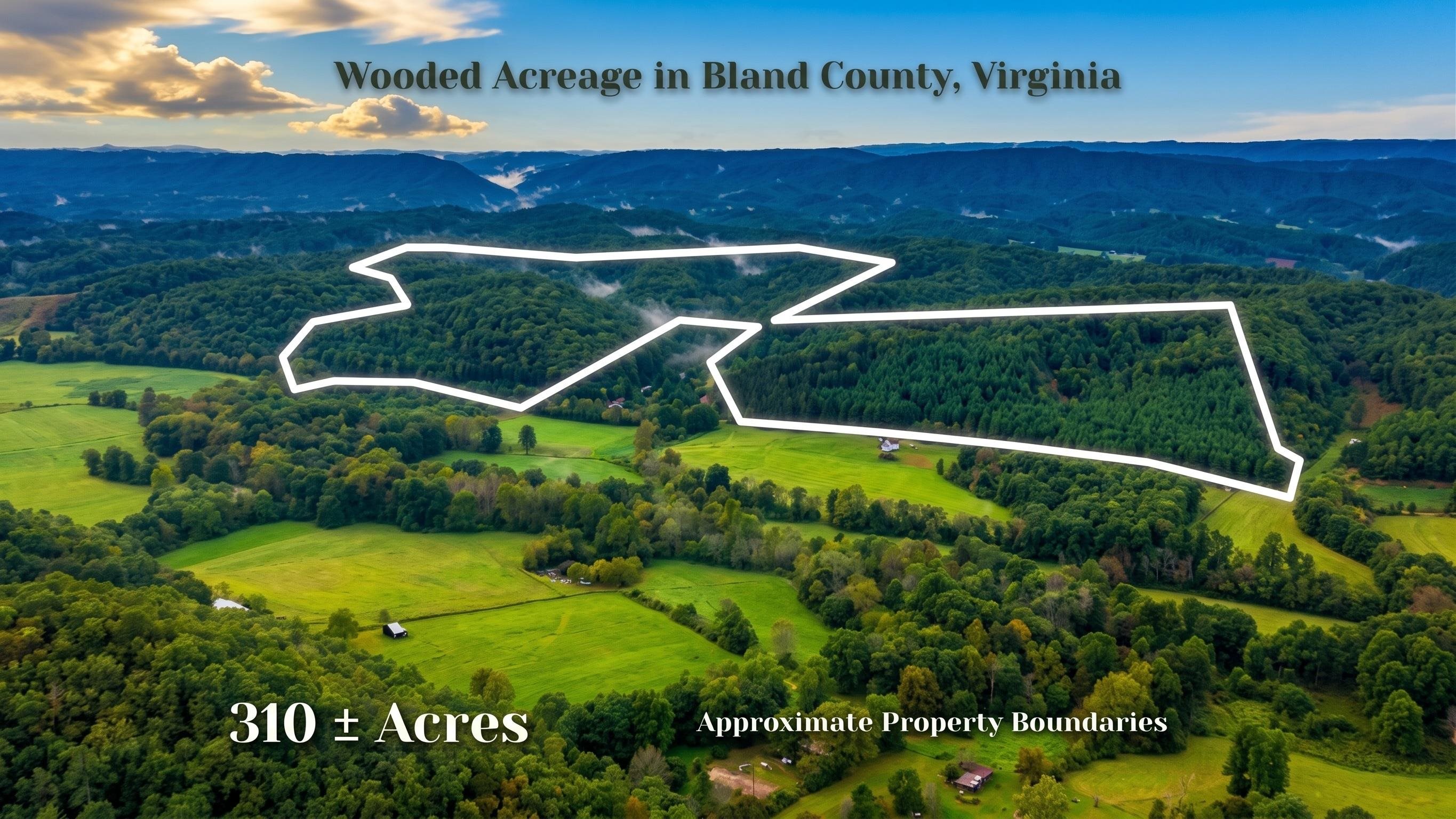 Tbd Short Ridge Drive Bland VA 24315