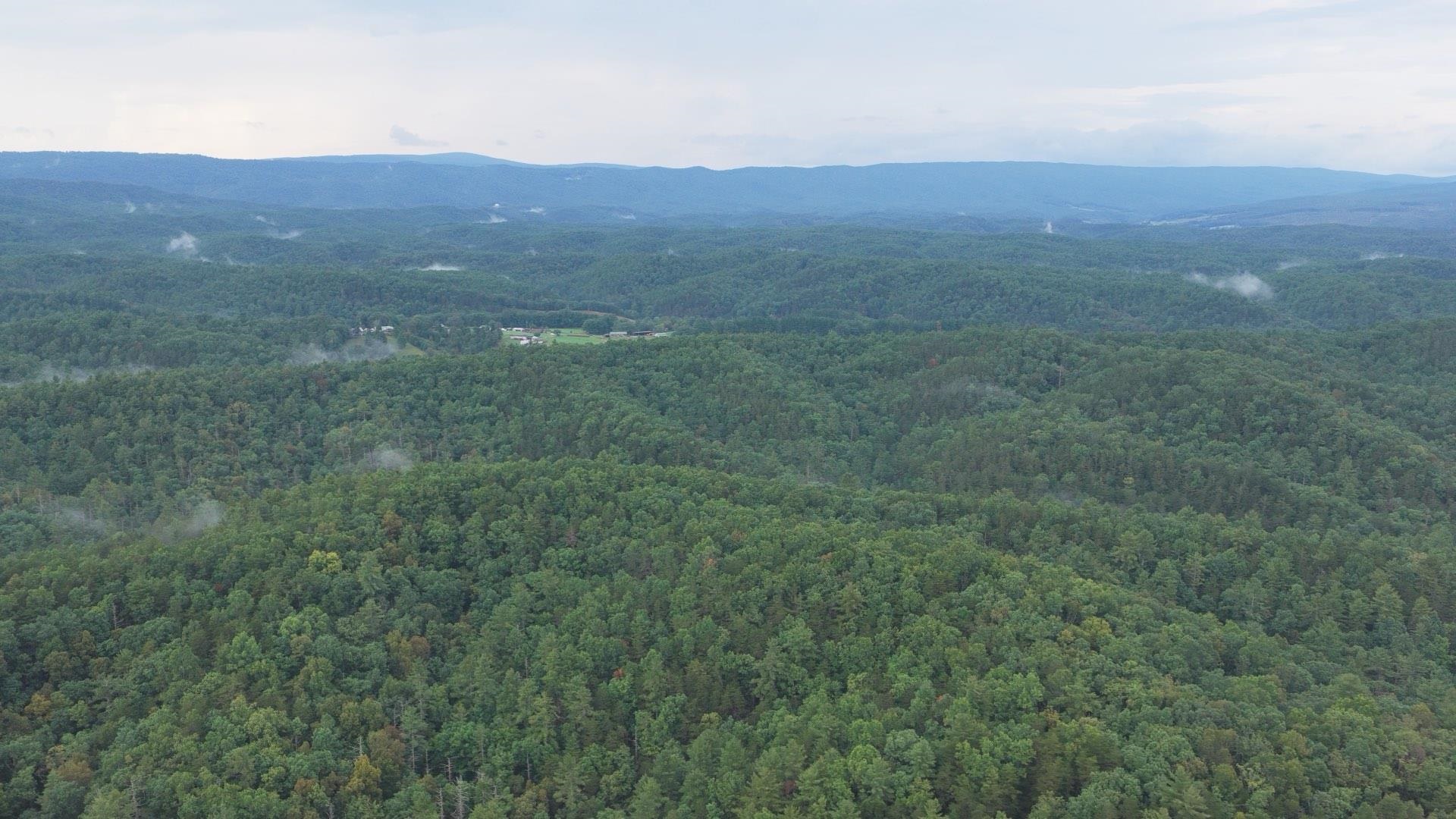 Tbd Short Ridge Drive Bland VA 24315
