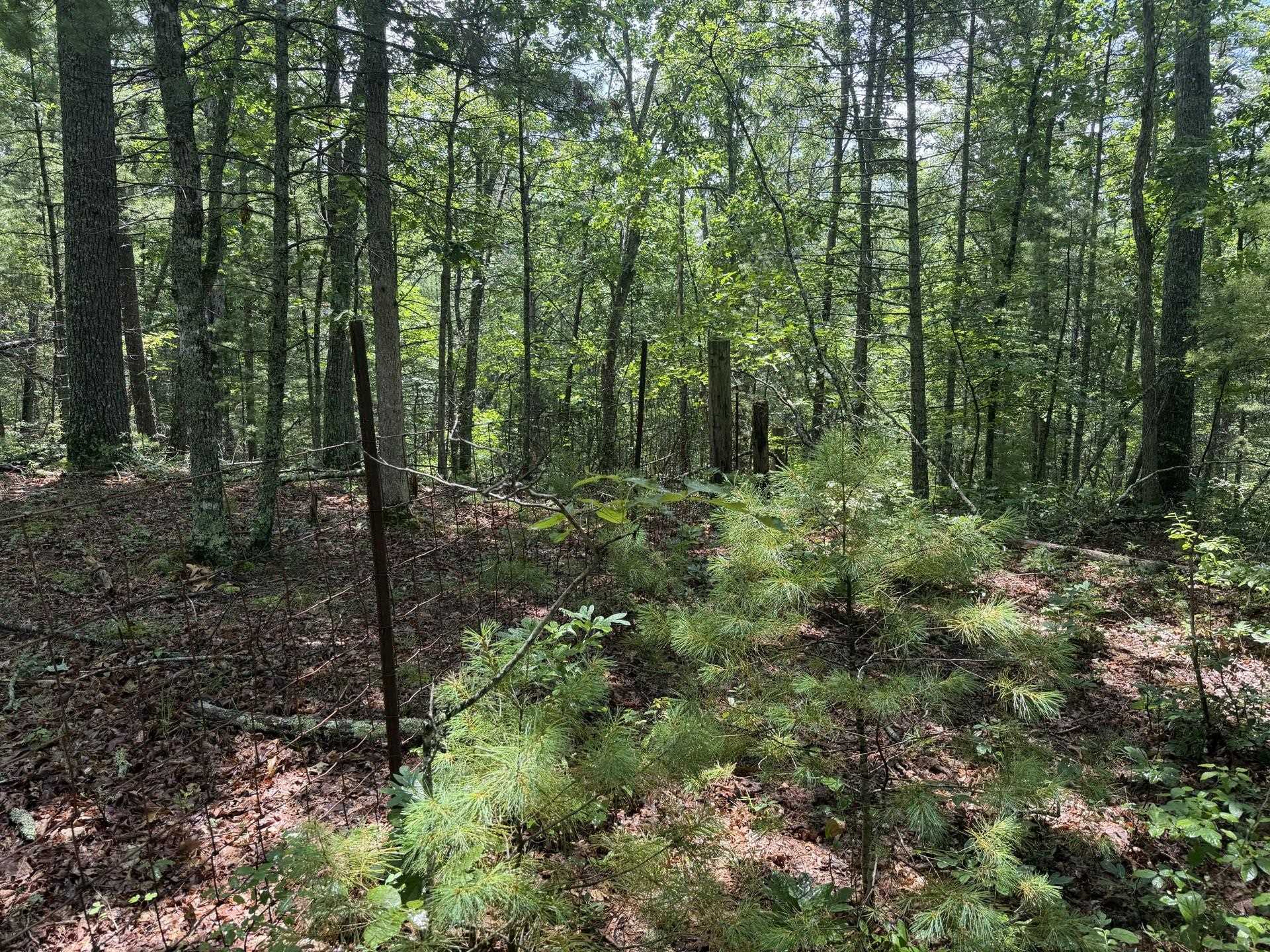 Tbd Short Ridge Drive Bland VA 24315