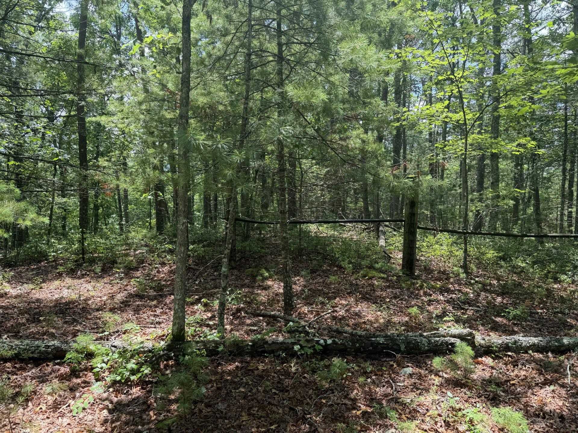 Tbd Short Ridge Drive Bland VA 24315