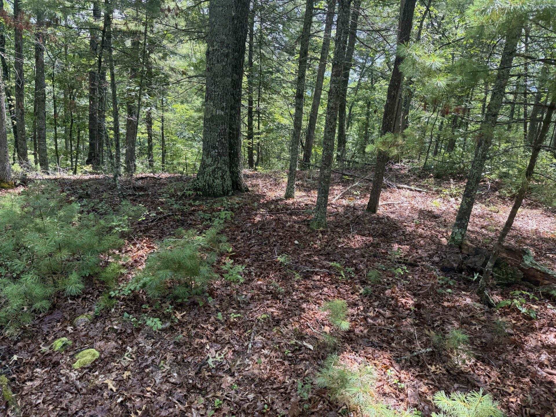 Tbd Short Ridge Drive Bland VA 24315