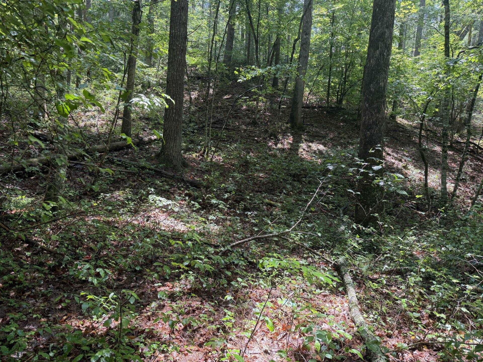 Tbd Short Ridge Drive Bland VA 24315