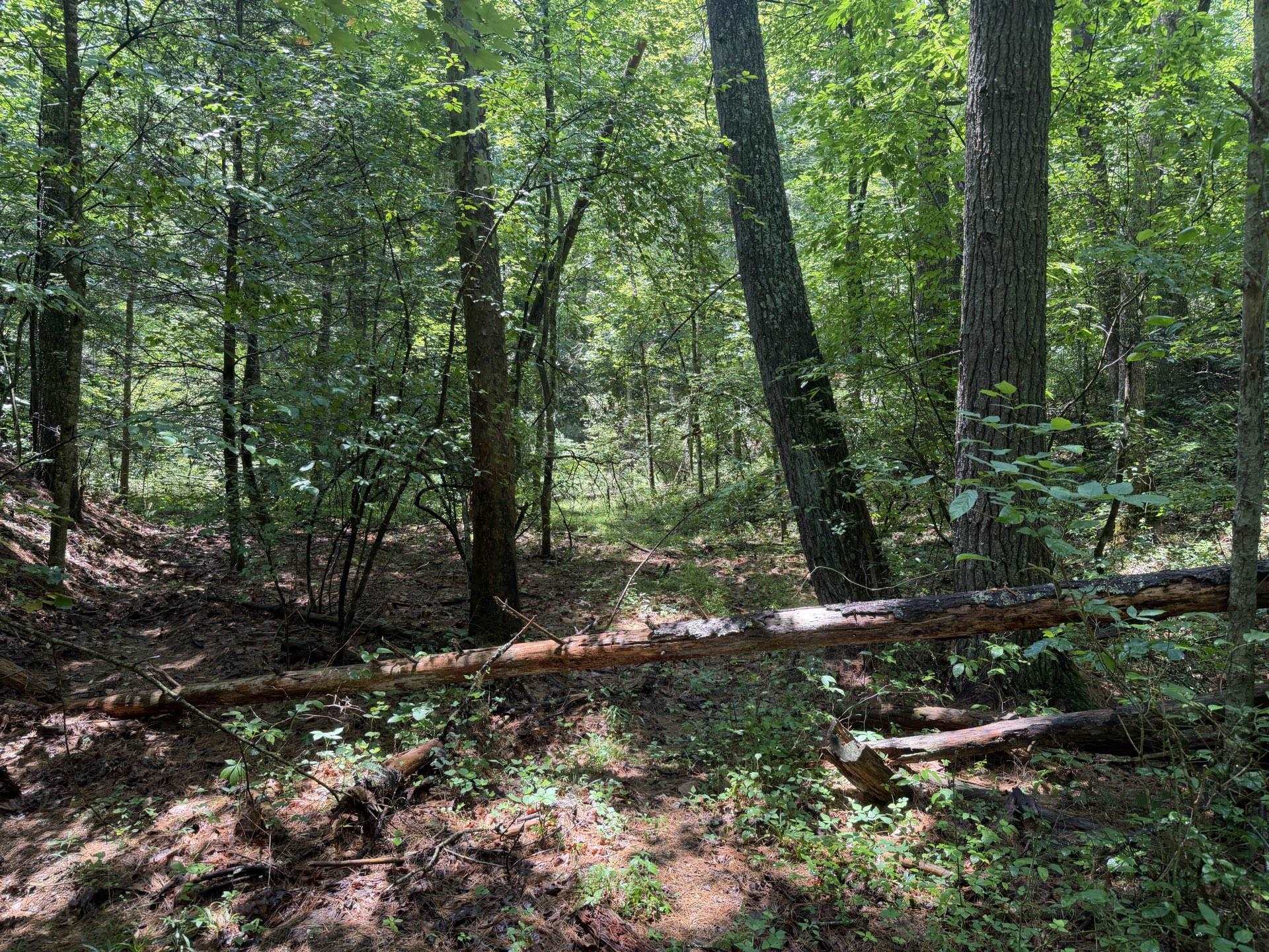 Tbd Short Ridge Drive Bland VA 24315