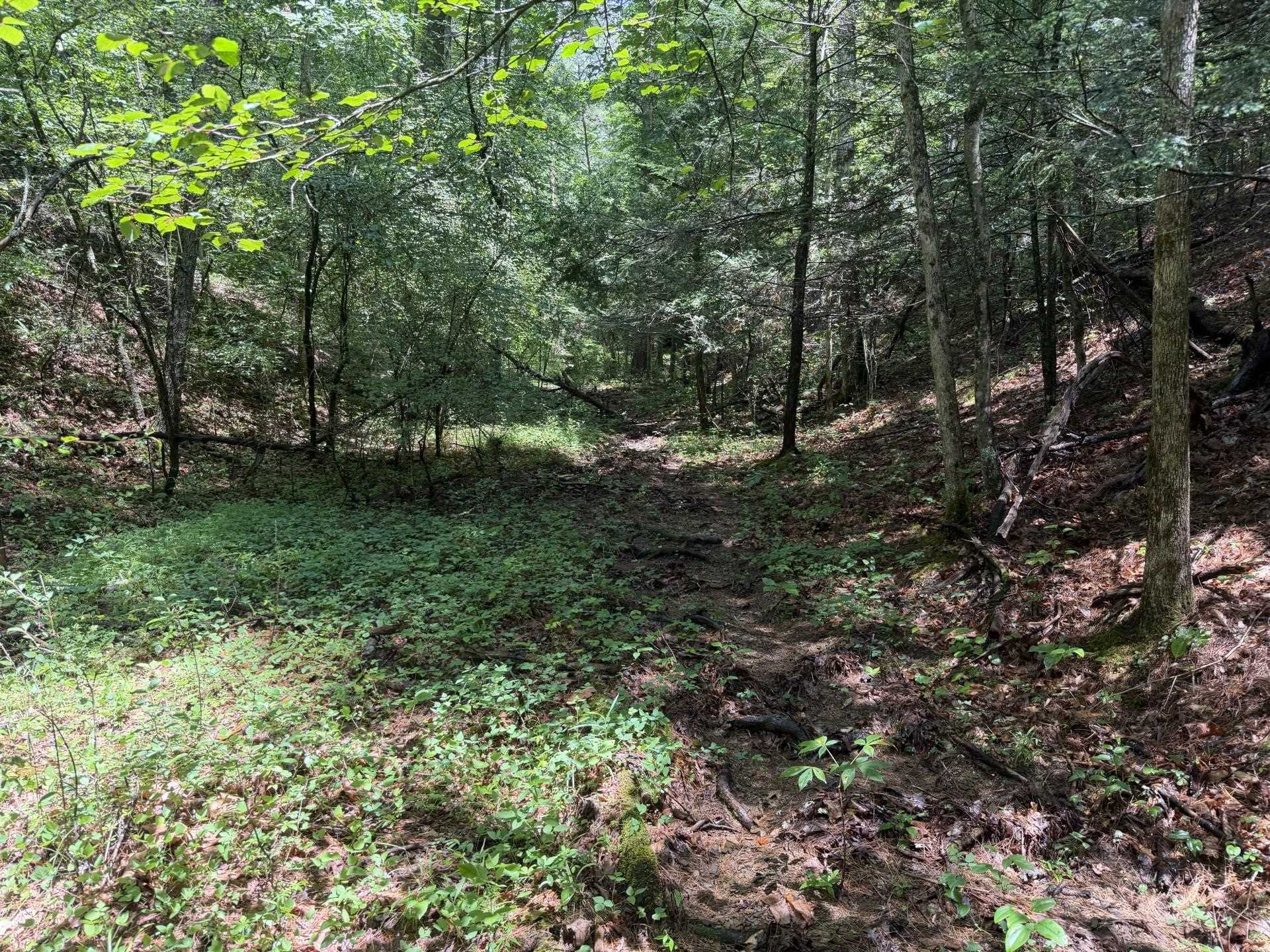 Tbd Short Ridge Drive Bland VA 24315