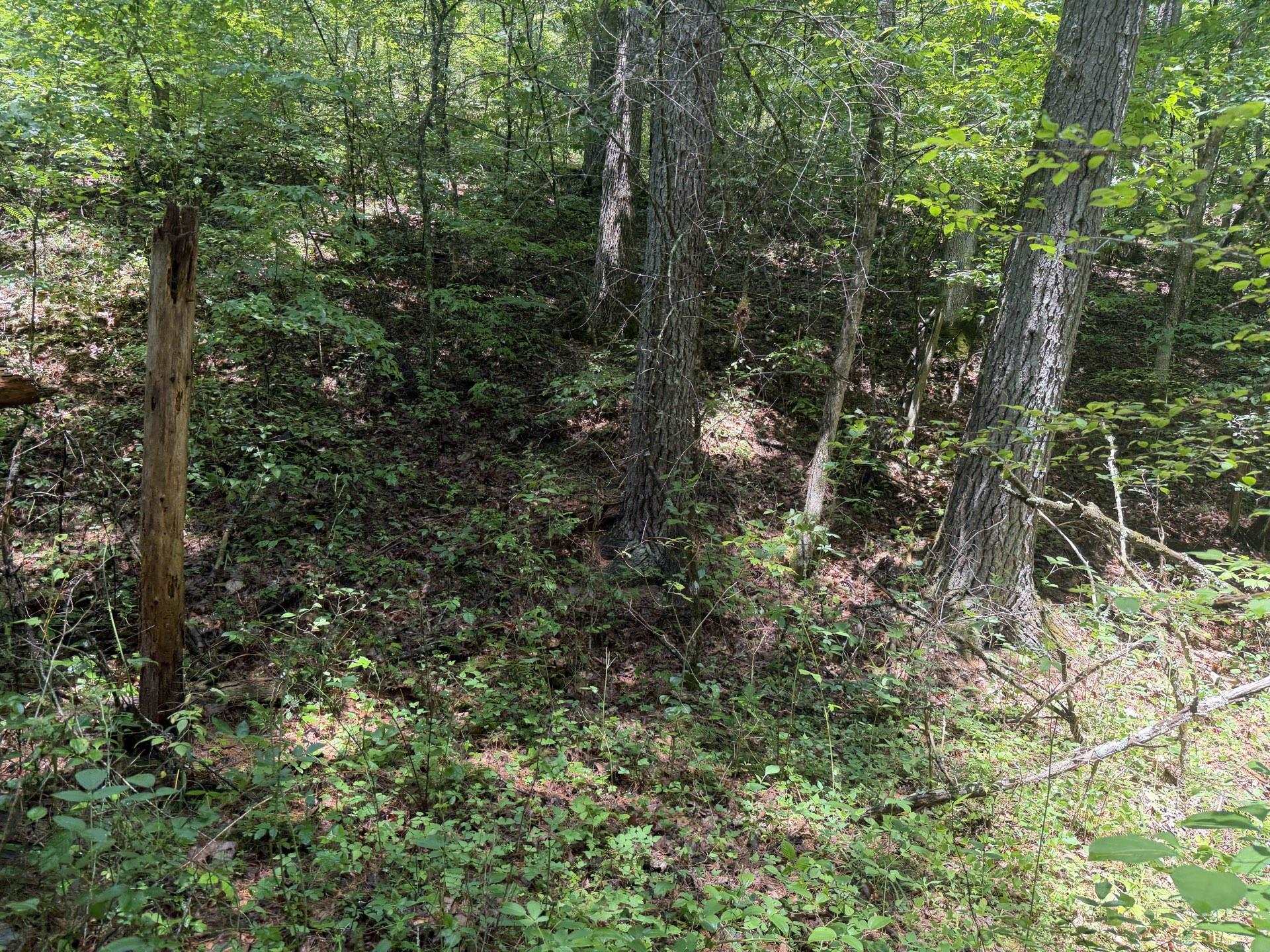 Tbd Short Ridge Drive Bland VA 24315