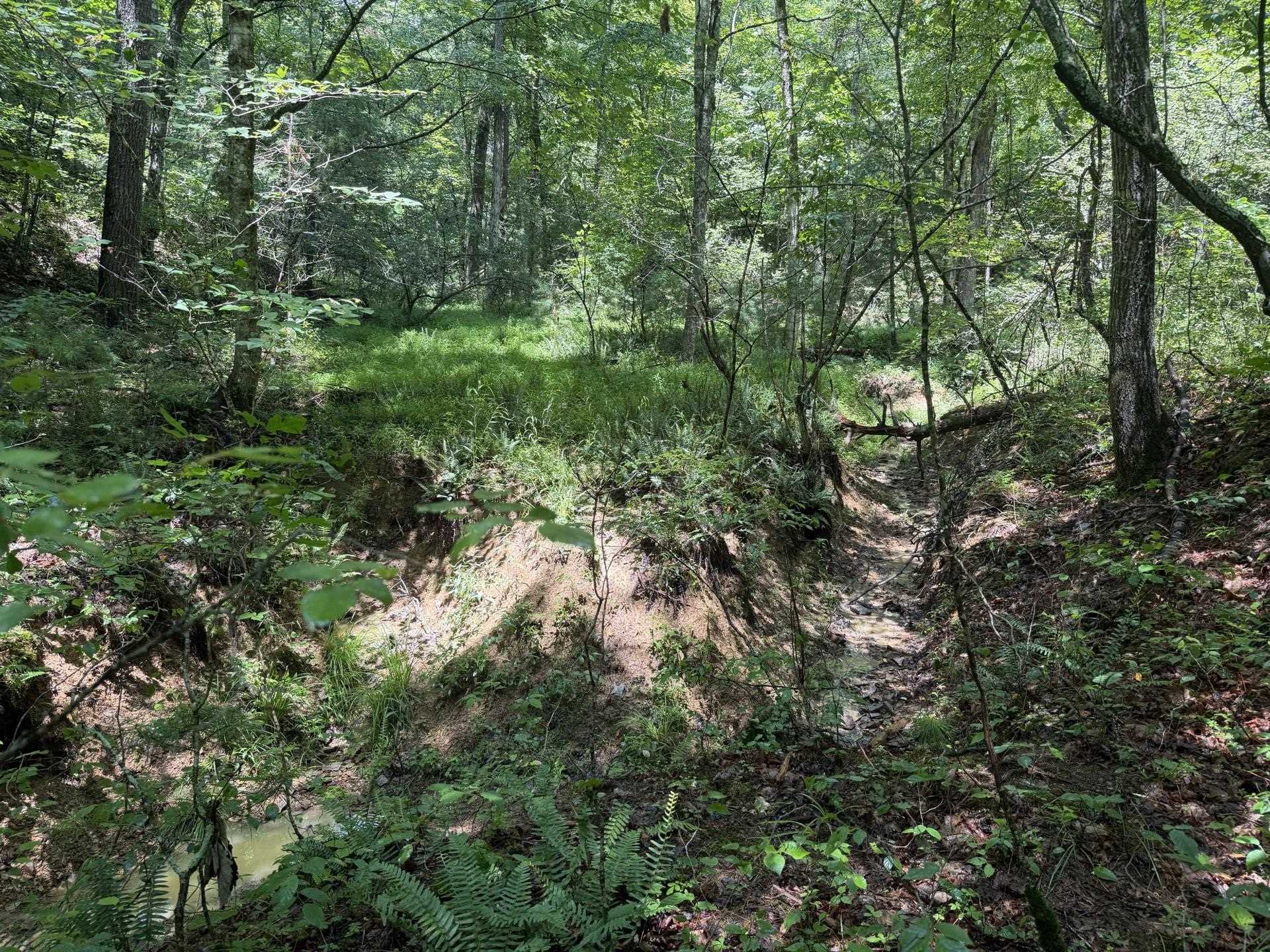 Tbd Short Ridge Drive Bland VA 24315