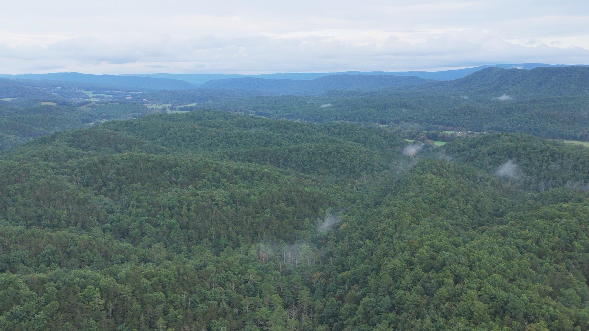 Tbd Short Ridge Drive Bland VA 24315