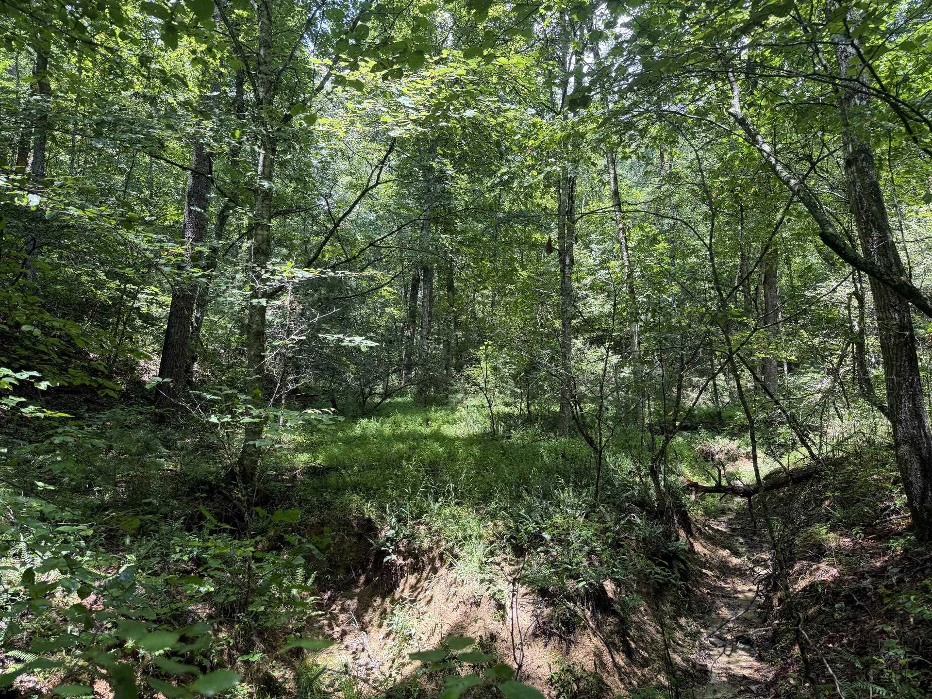 Tbd Short Ridge Drive Bland VA 24315