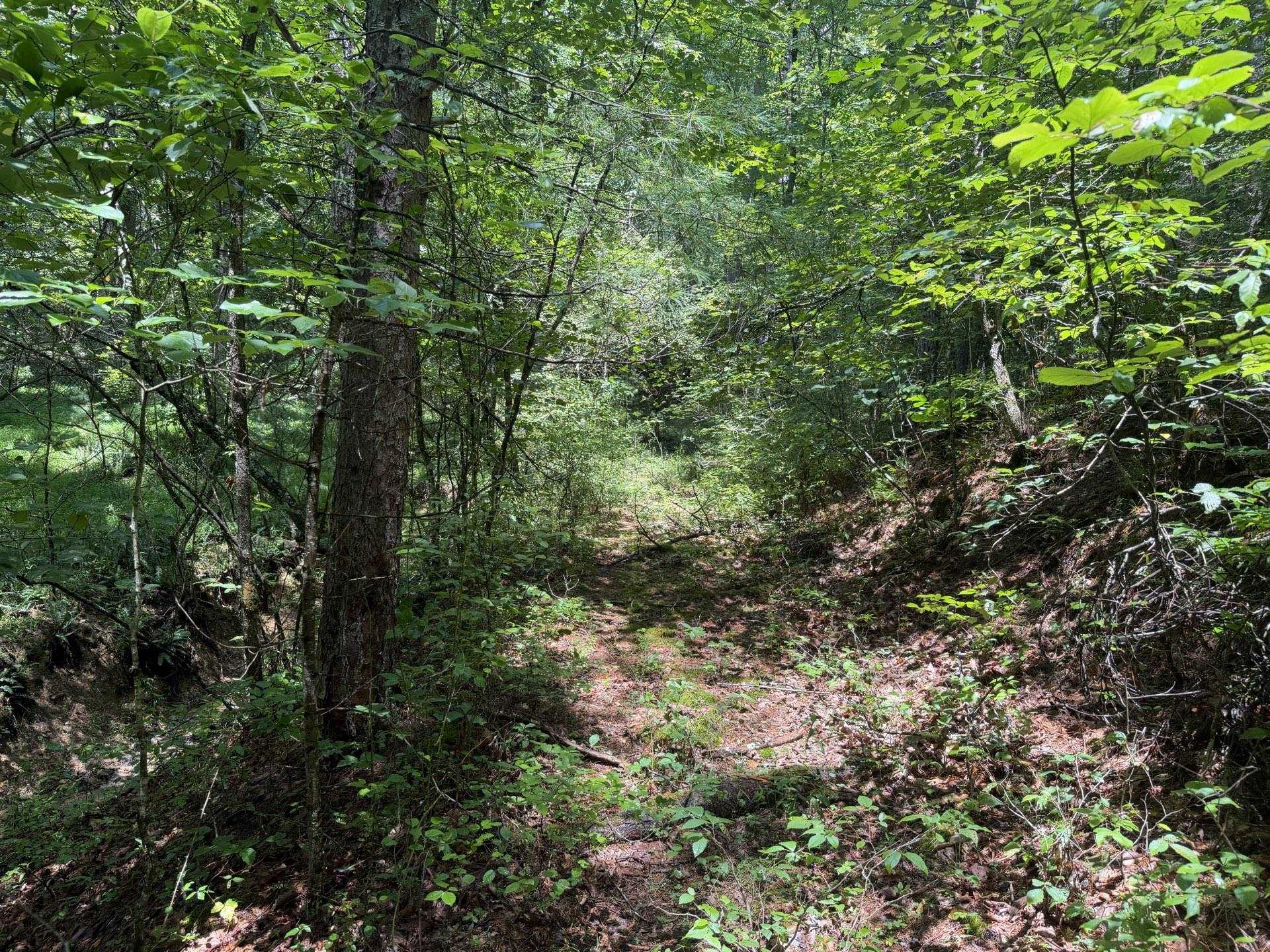 Tbd Short Ridge Drive Bland VA 24315