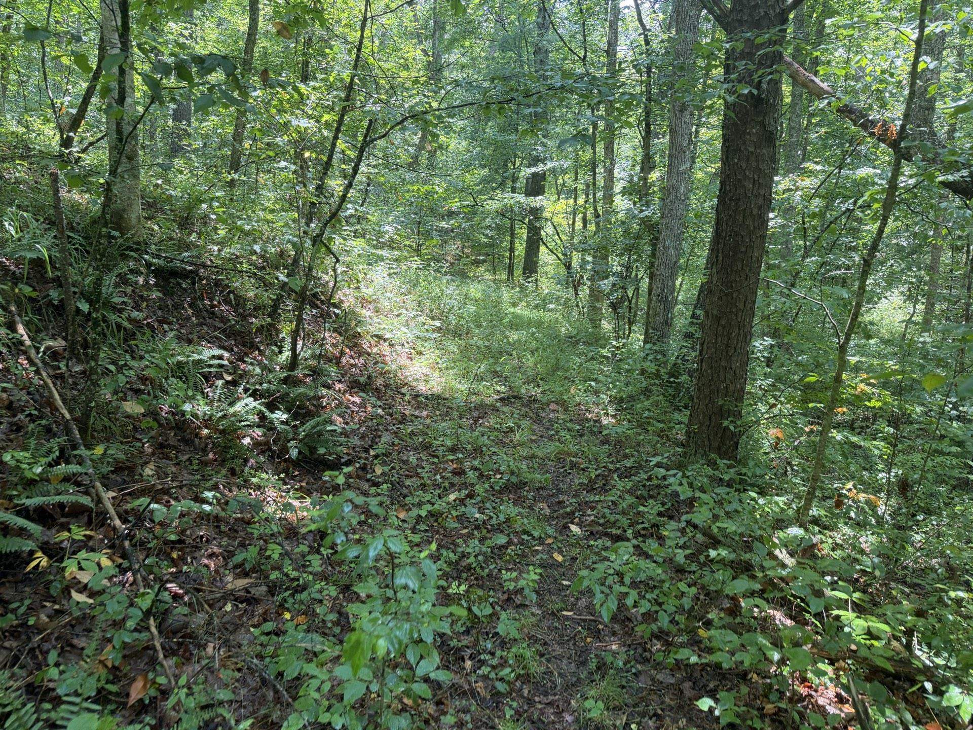 Tbd Short Ridge Drive Bland VA 24315