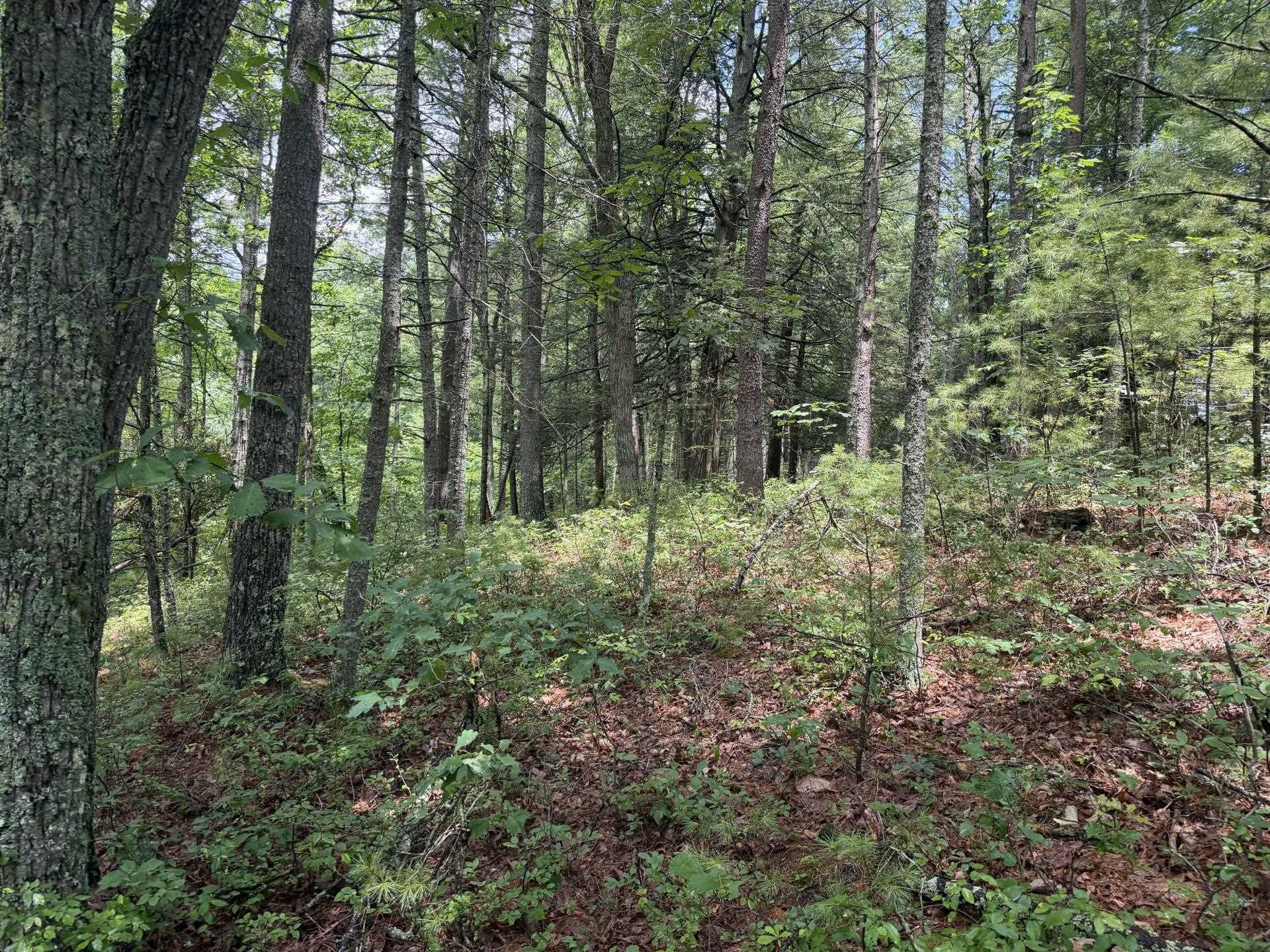 Tbd Short Ridge Drive Bland VA 24315