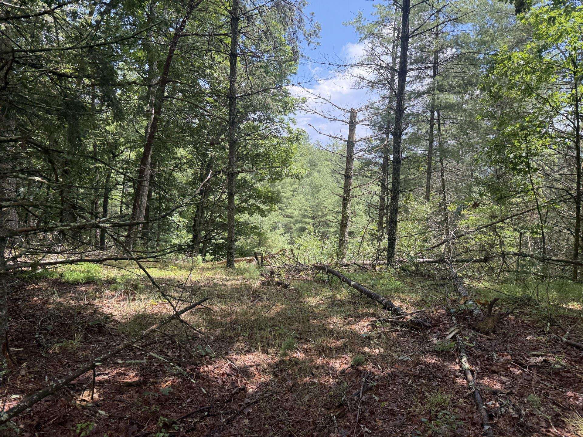 Tbd Short Ridge Drive Bland VA 24315