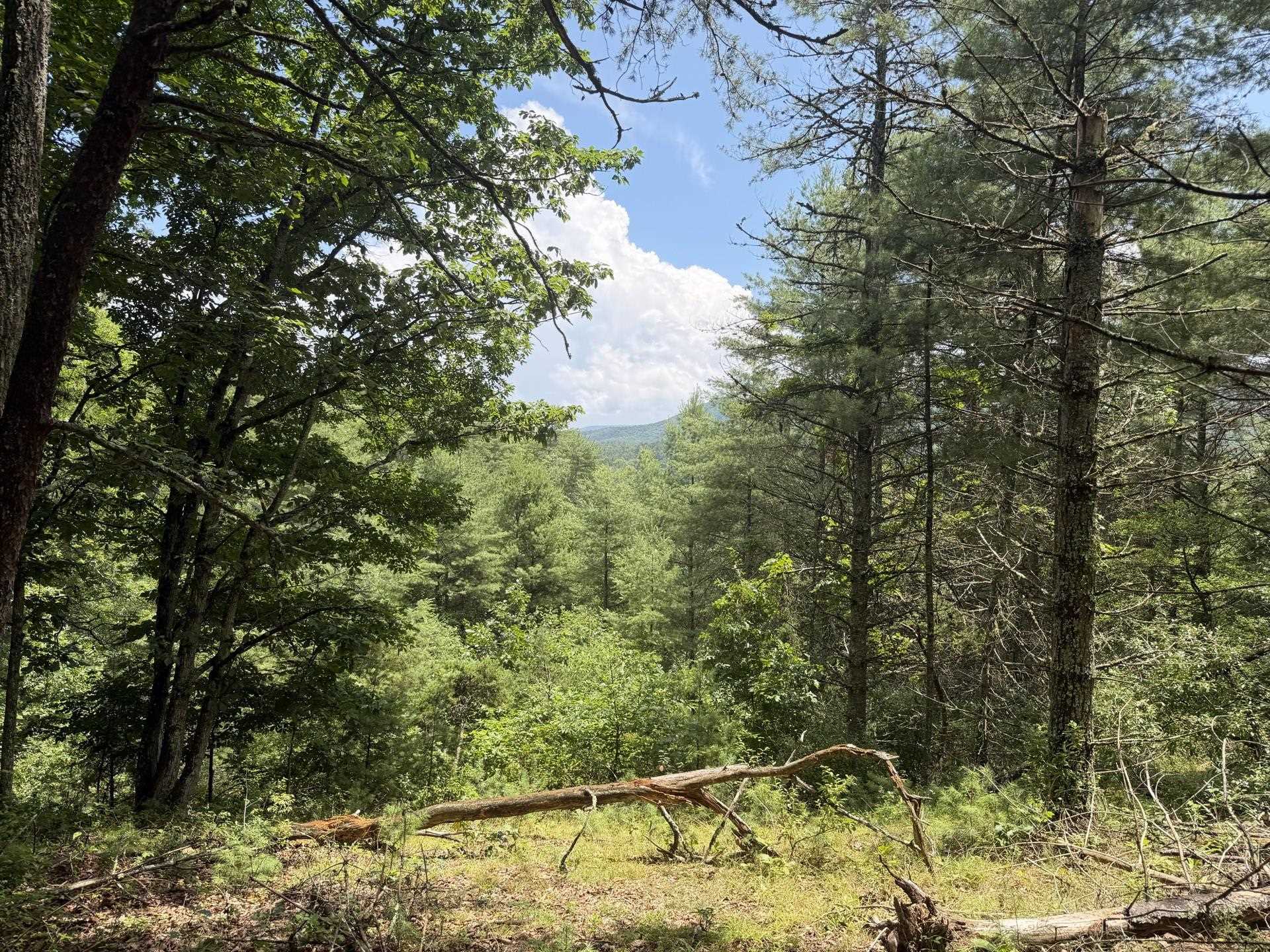 Tbd Short Ridge Drive Bland VA 24315