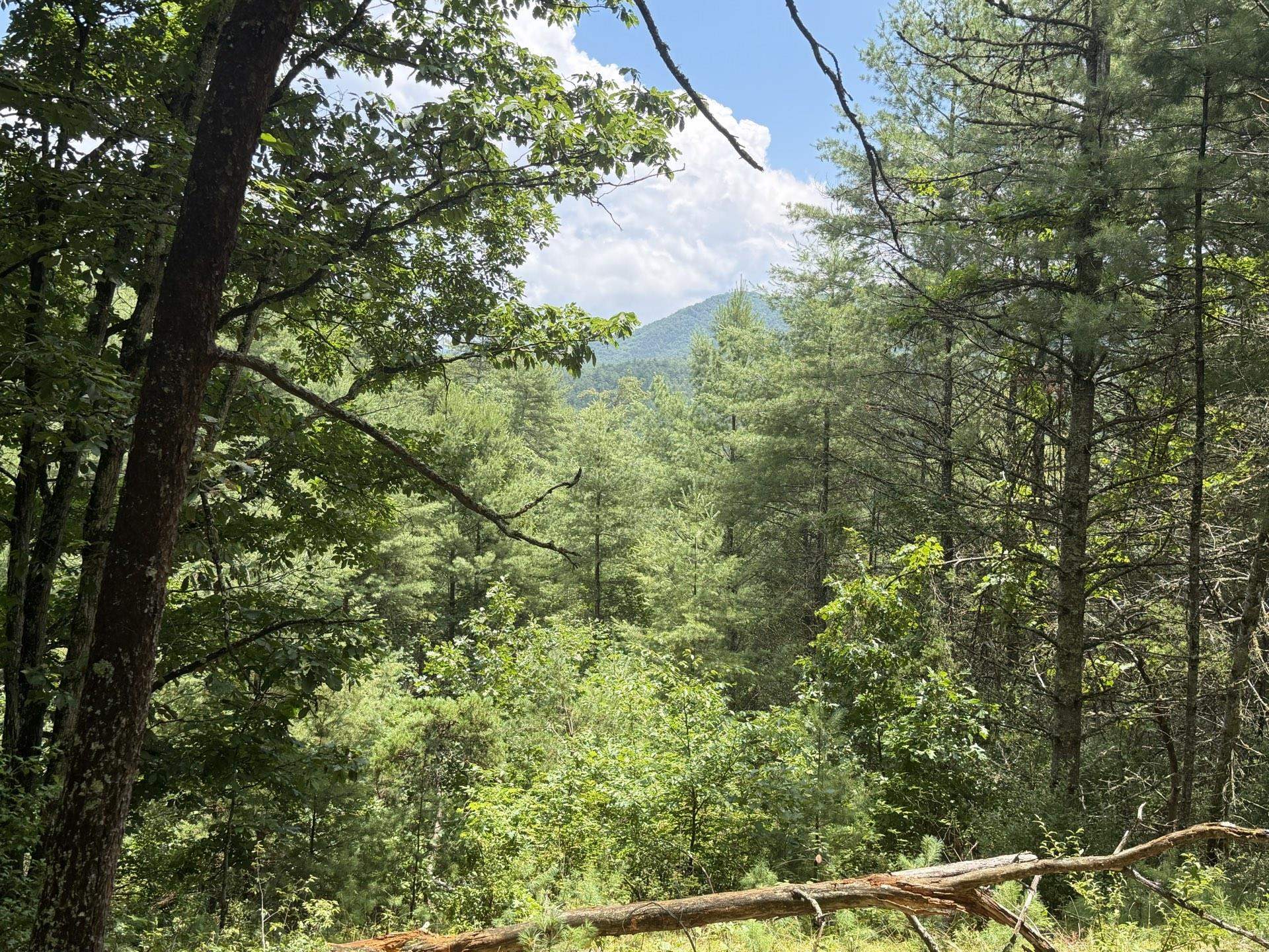 Tbd Short Ridge Drive Bland VA 24315