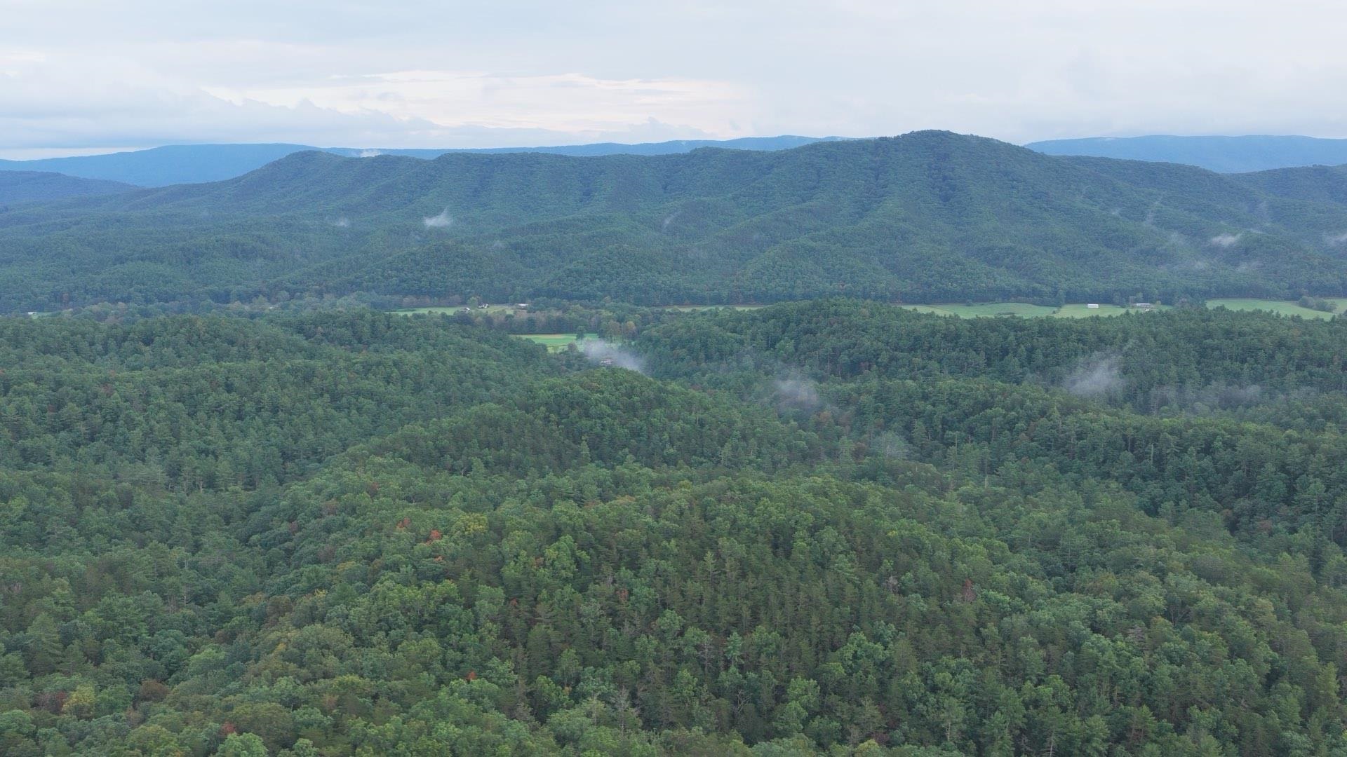 Tbd Short Ridge Drive Bland VA 24315