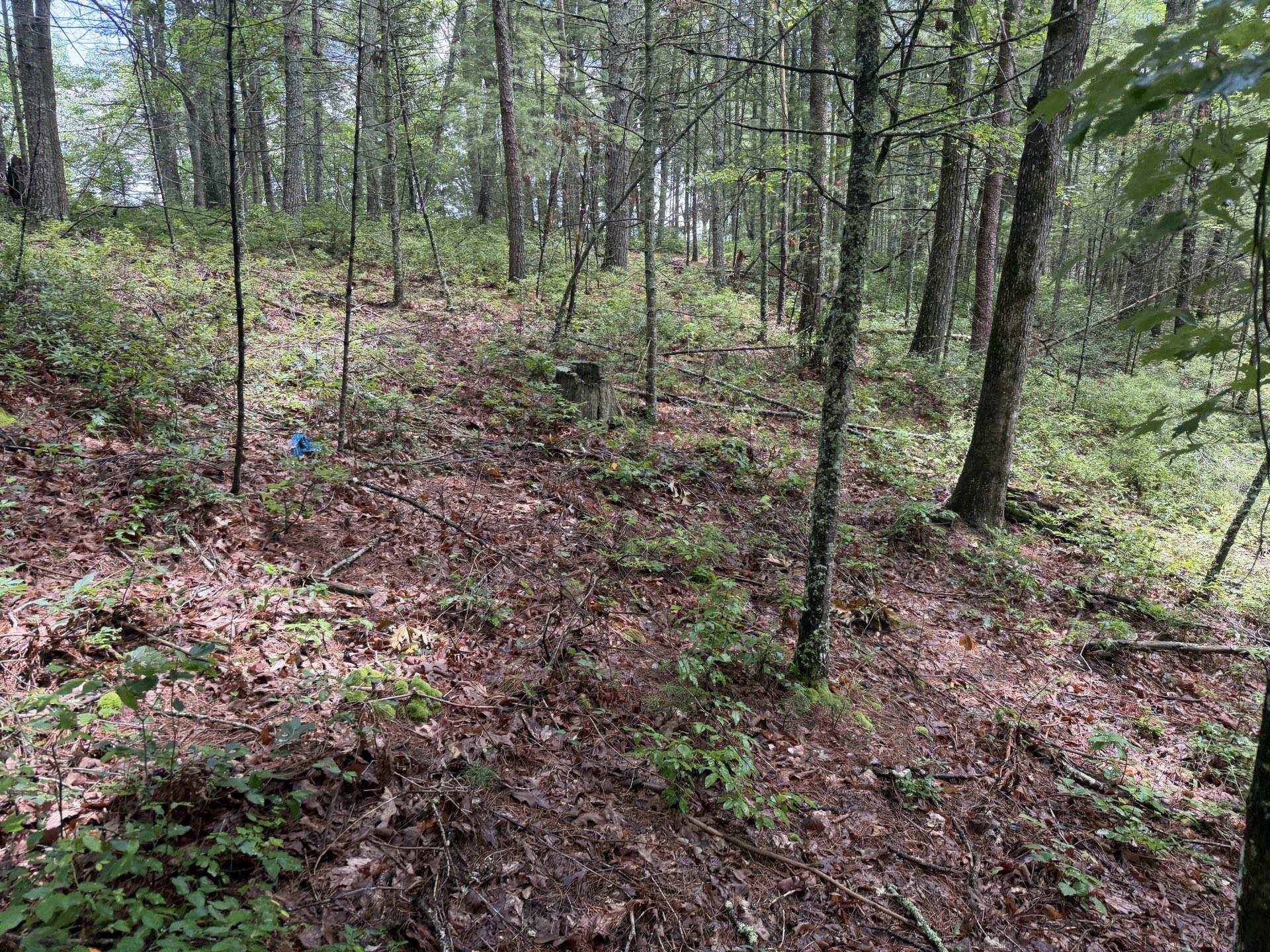 Tbd Short Ridge Drive Bland VA 24315