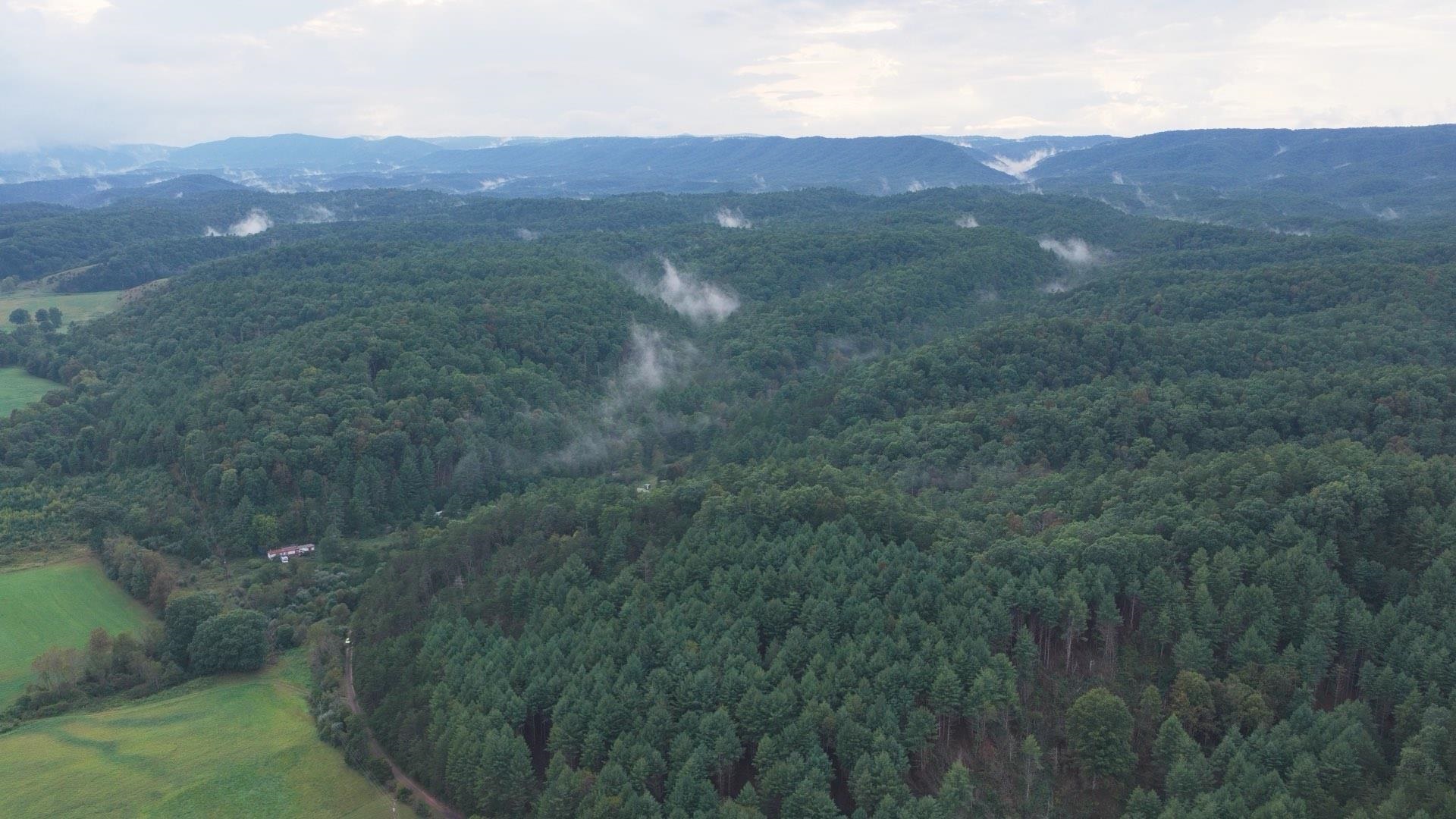 Tbd Short Ridge Drive Bland VA 24315