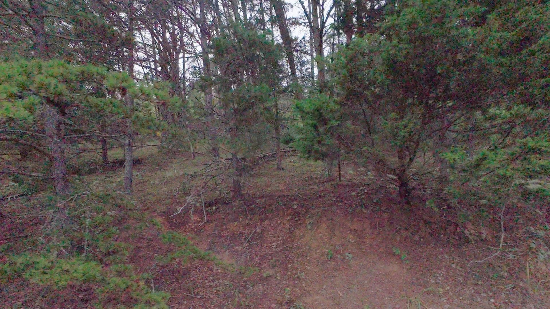 Tbd Short Ridge Drive Bland VA 24315