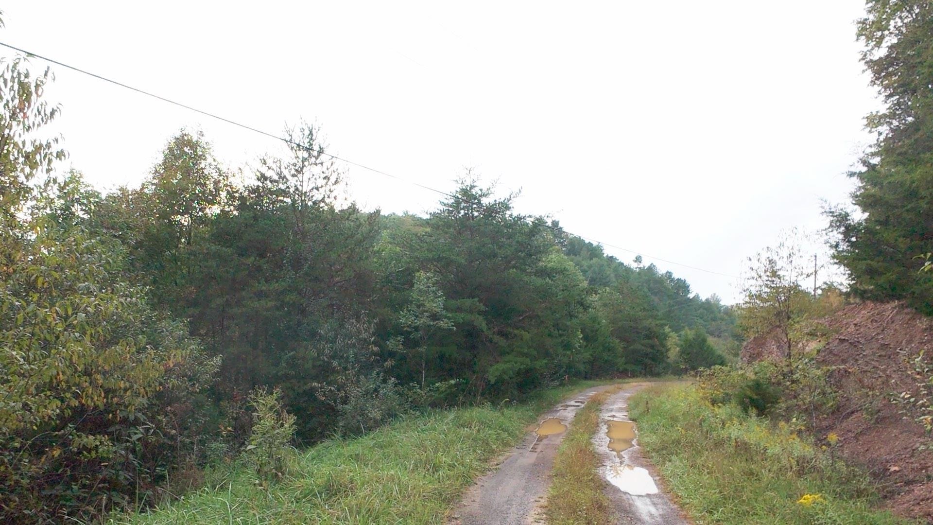 Tbd Short Ridge Drive Bland VA 24315