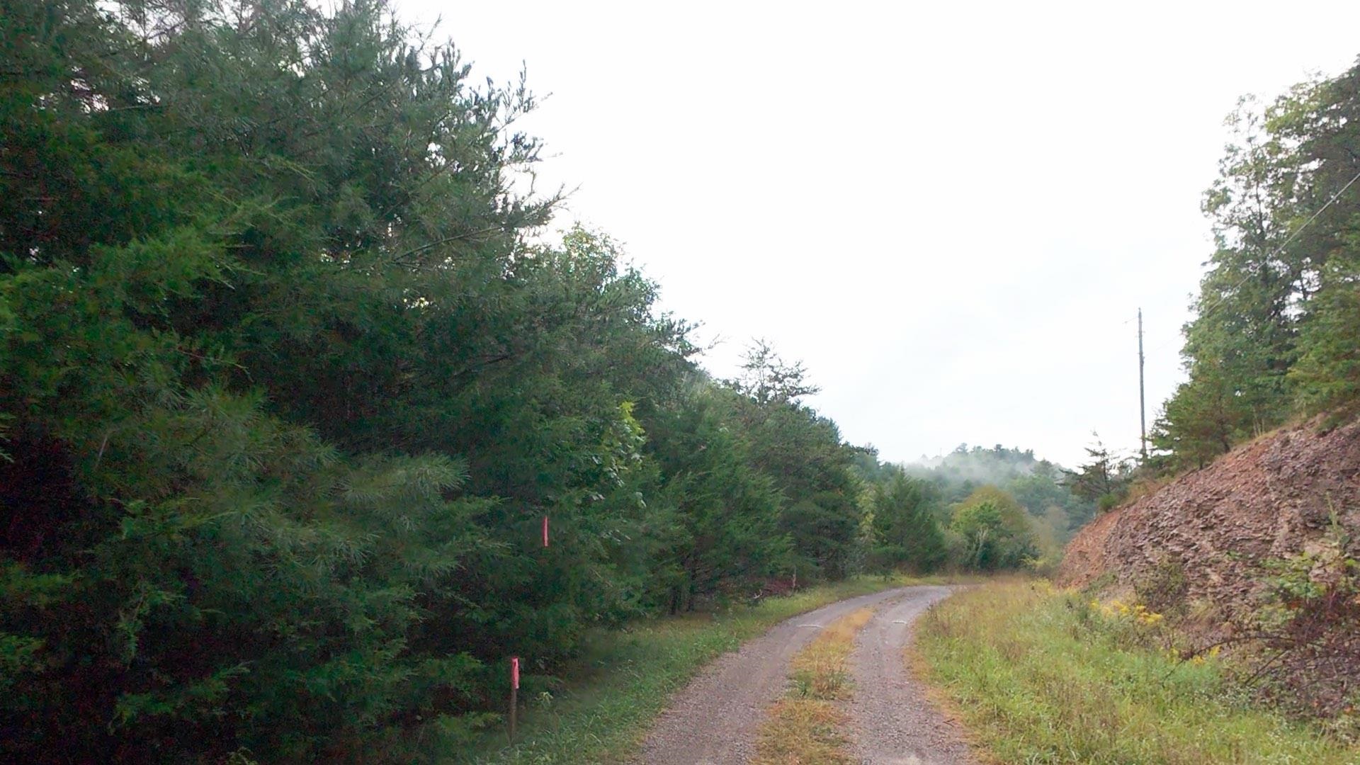 Tbd Short Ridge Drive Bland VA 24315