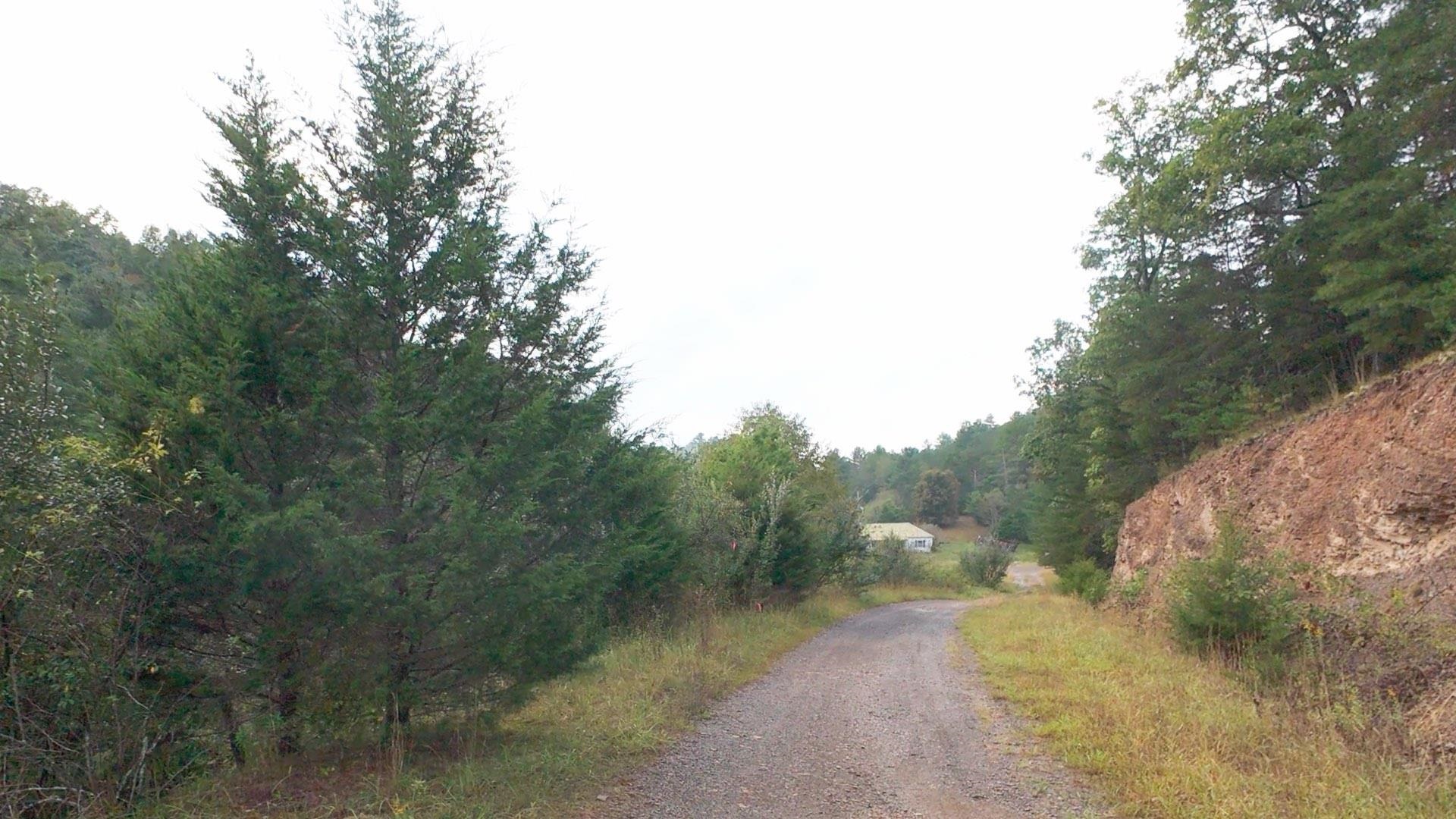 Tbd Short Ridge Drive Bland VA 24315
