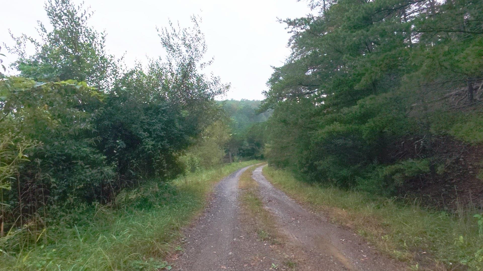 Tbd Short Ridge Drive Bland VA 24315