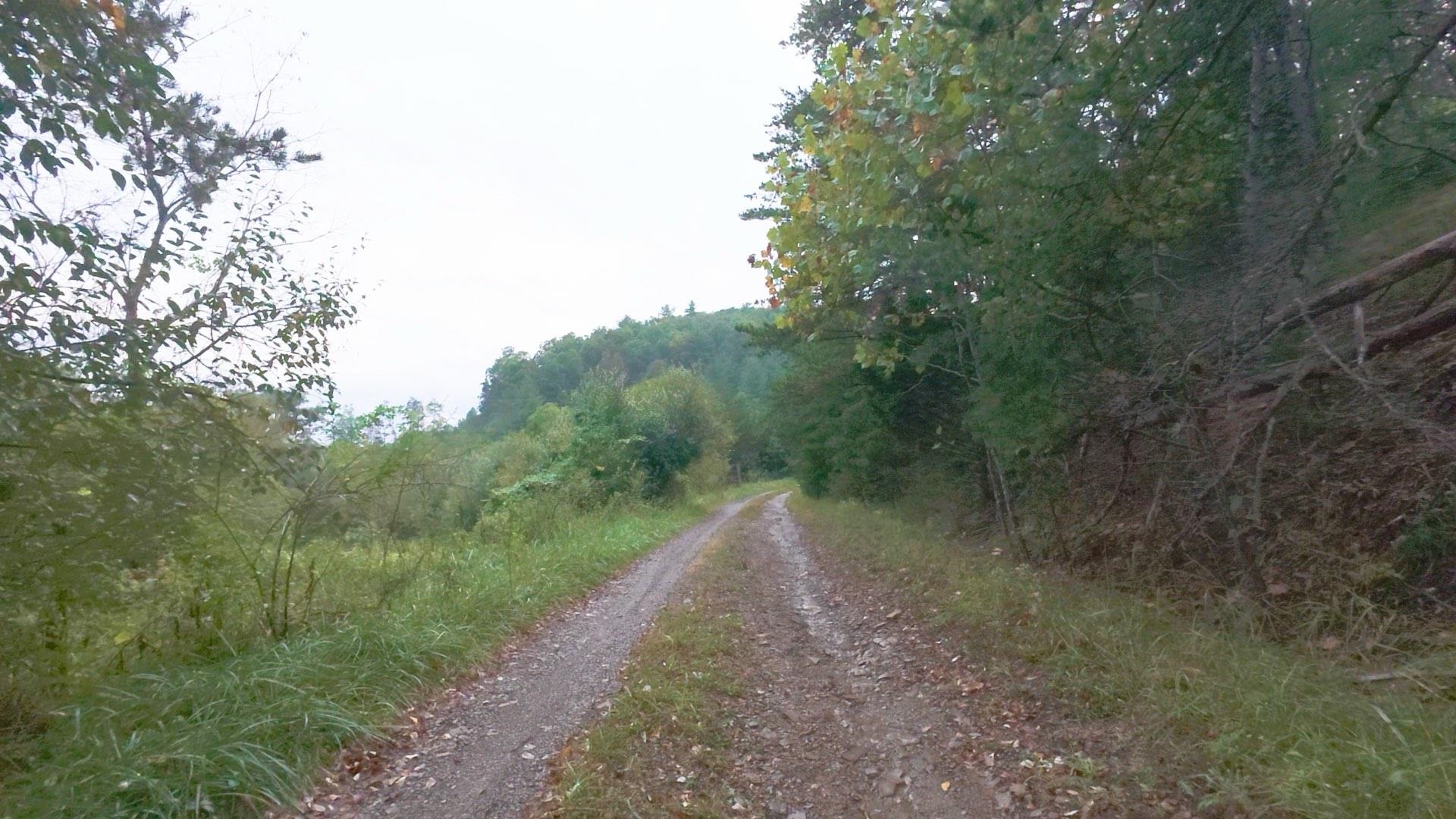 Tbd Short Ridge Drive Bland VA 24315