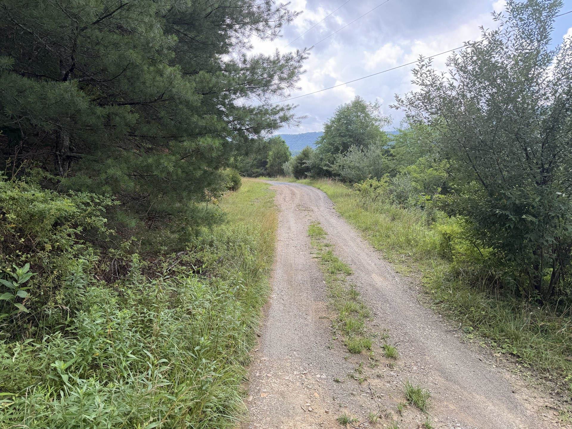 Tbd Short Ridge Drive Bland VA 24315