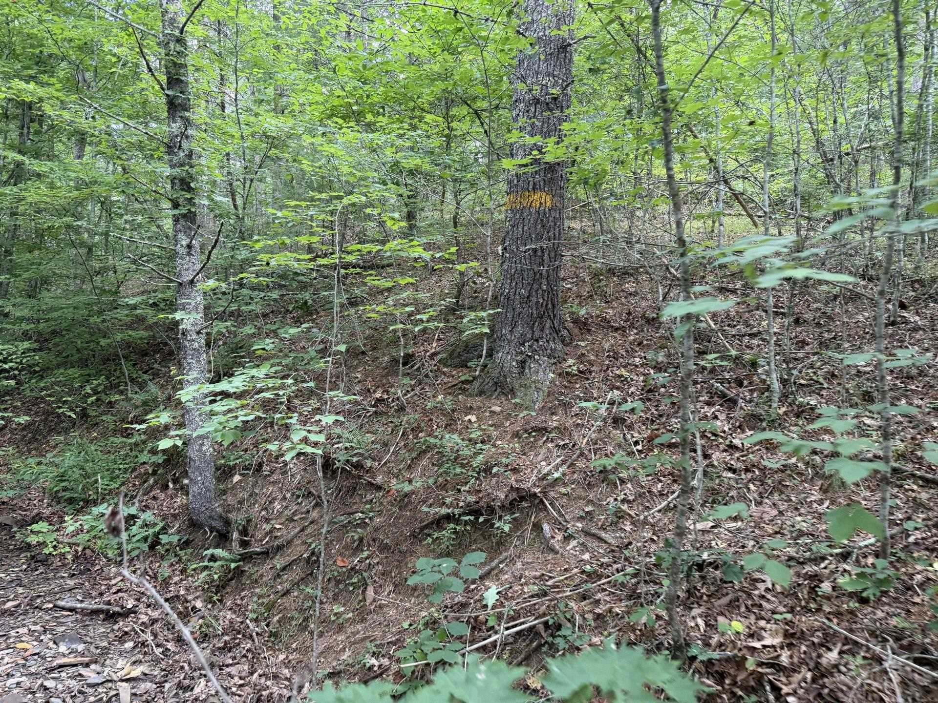 Tbd Short Ridge Drive Bland VA 24315
