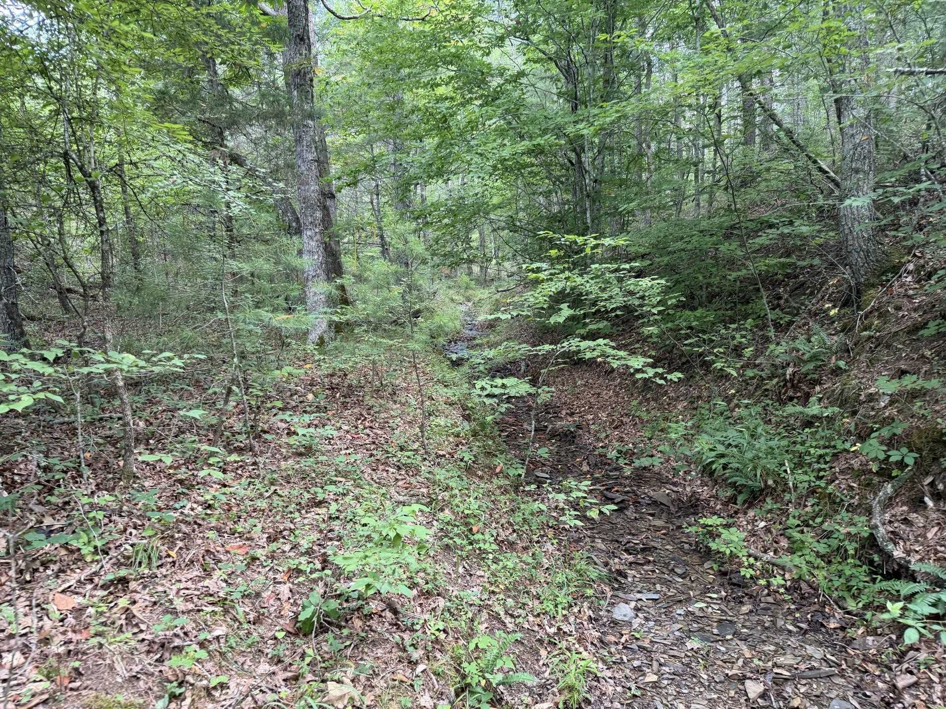 Tbd Short Ridge Drive Bland VA 24315