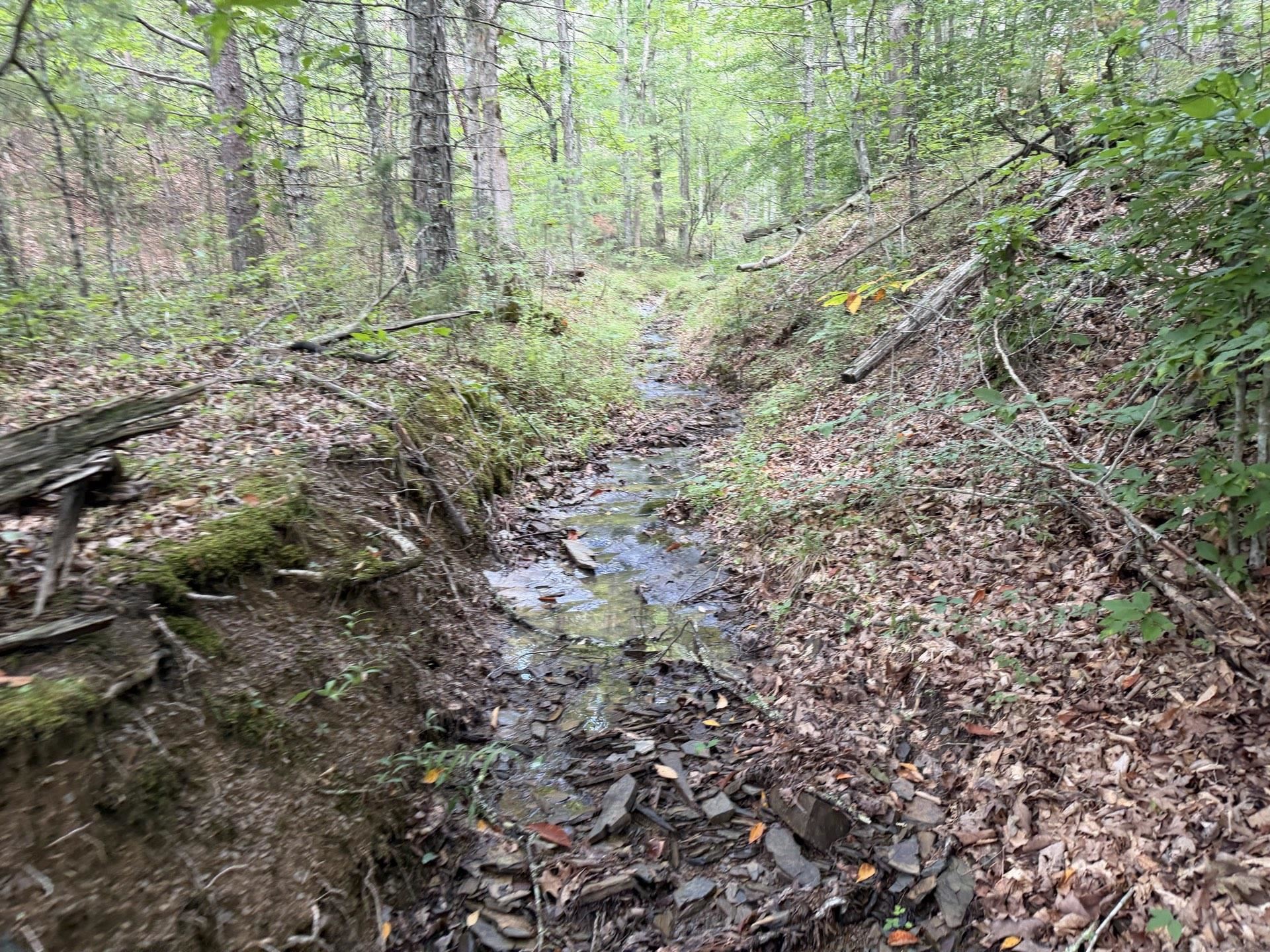 Tbd Short Ridge Drive Bland VA 24315