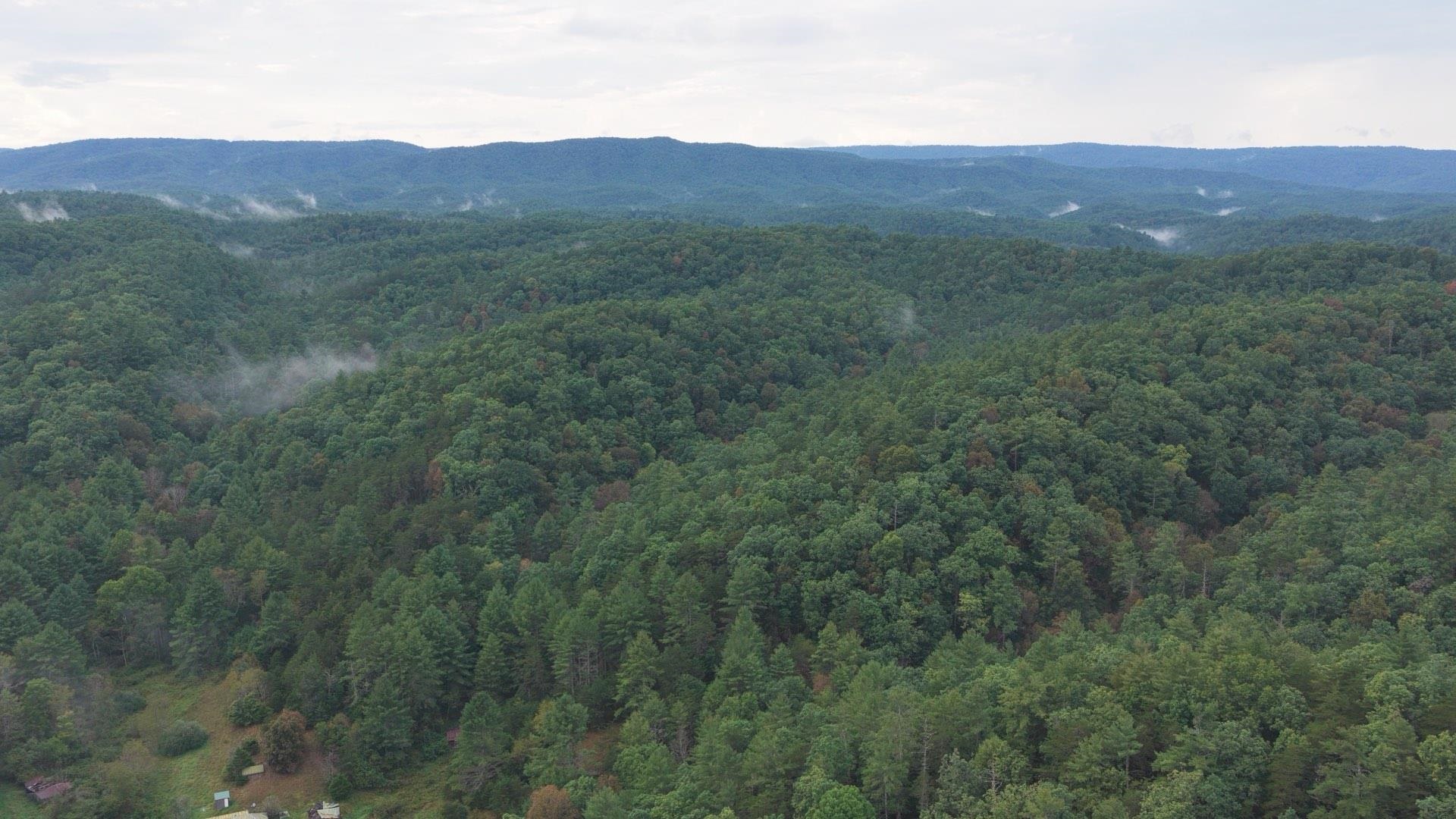 Tbd Short Ridge Drive Bland VA 24315