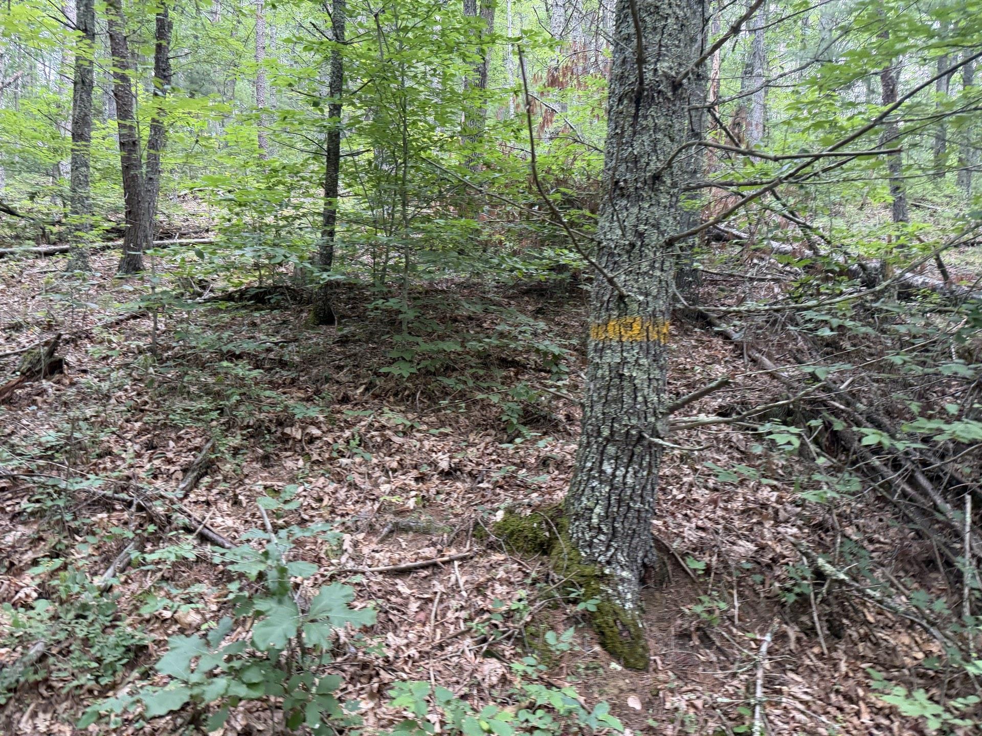 Tbd Short Ridge Drive Bland VA 24315
