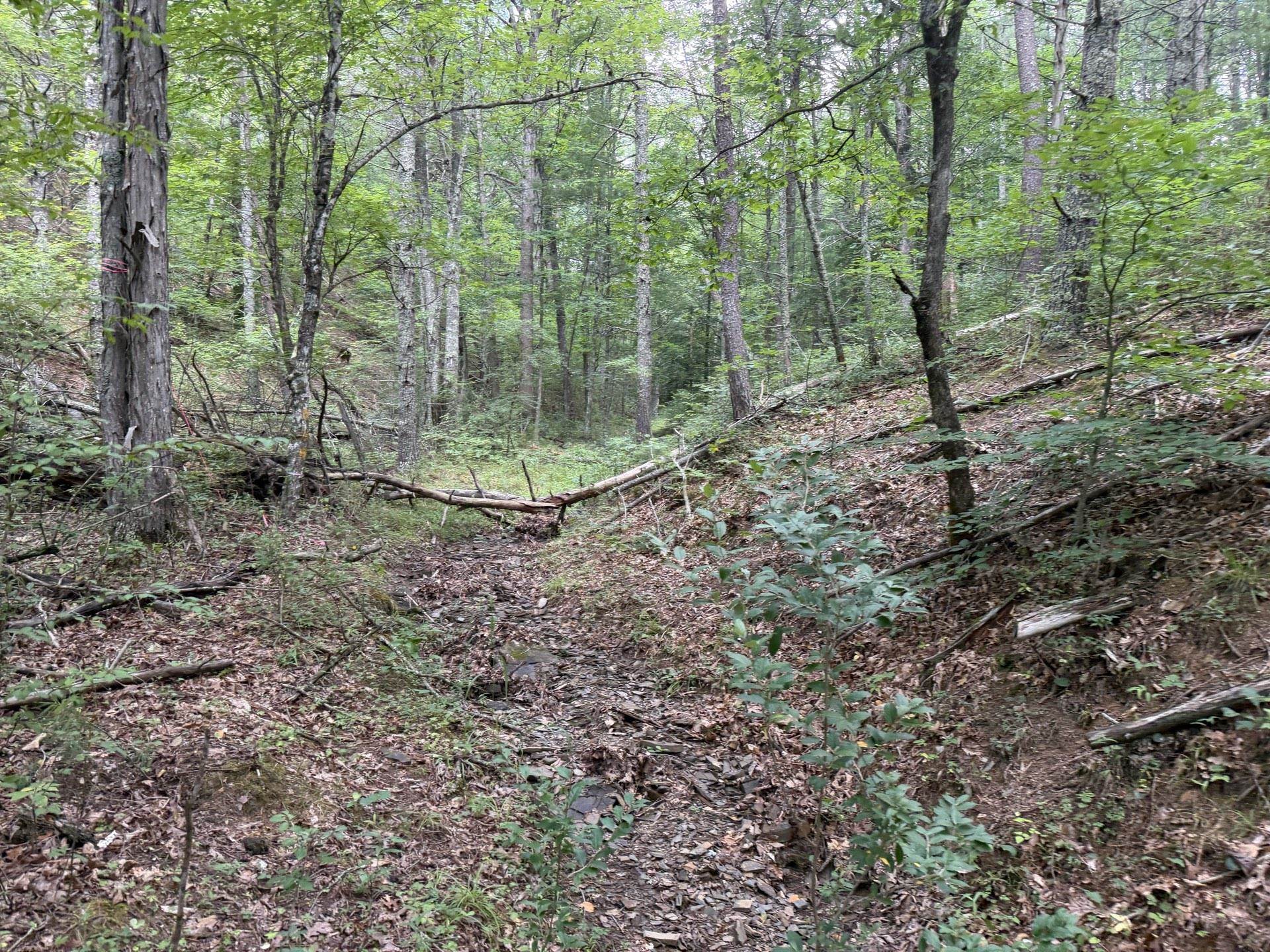 Tbd Short Ridge Drive Bland VA 24315